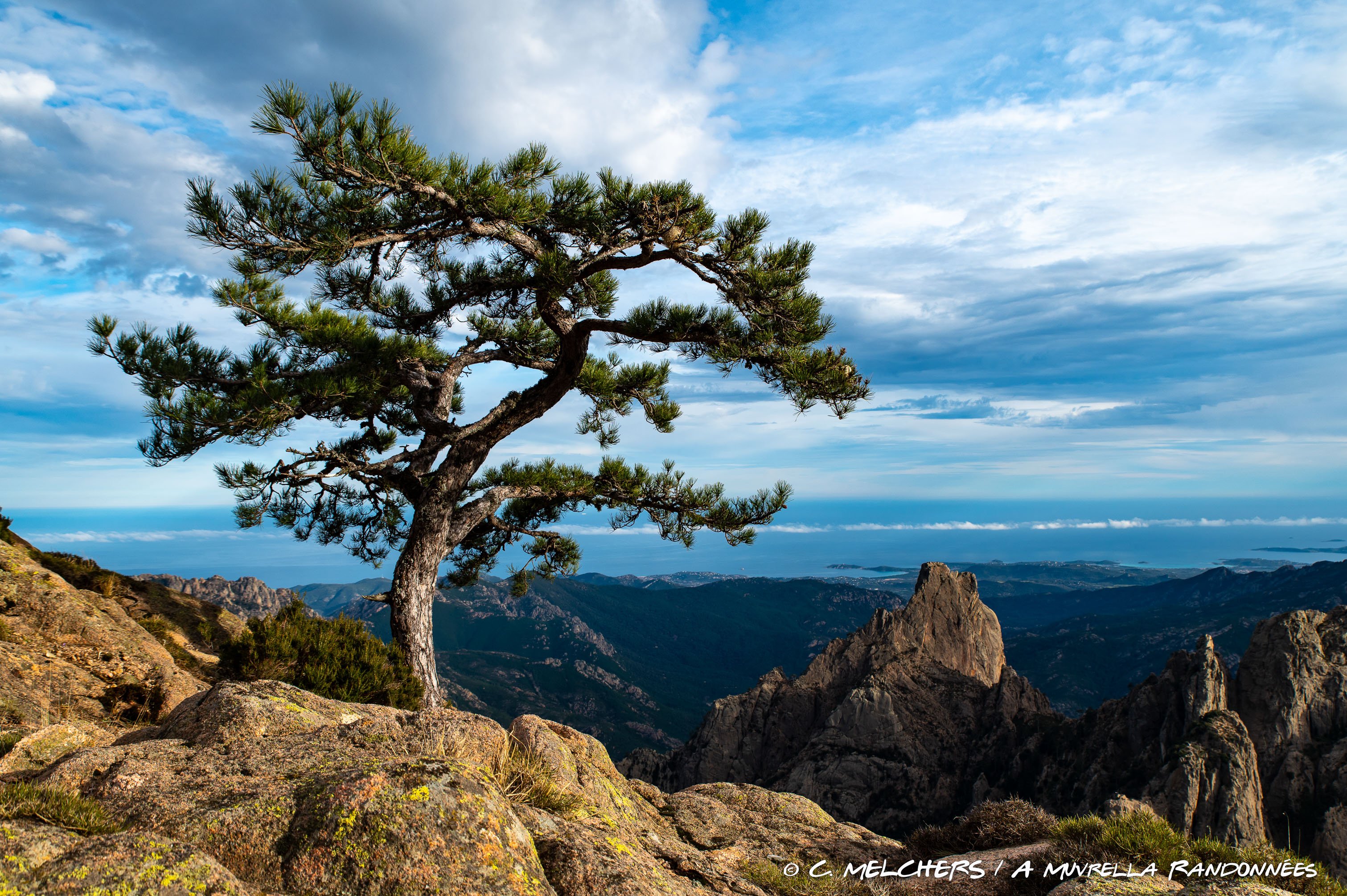 Domaine Le Mouflon D'Or by null