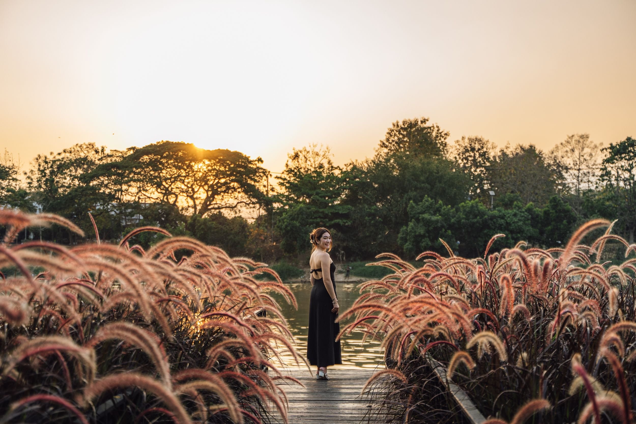 Cross Chiang Mai Riverside by null