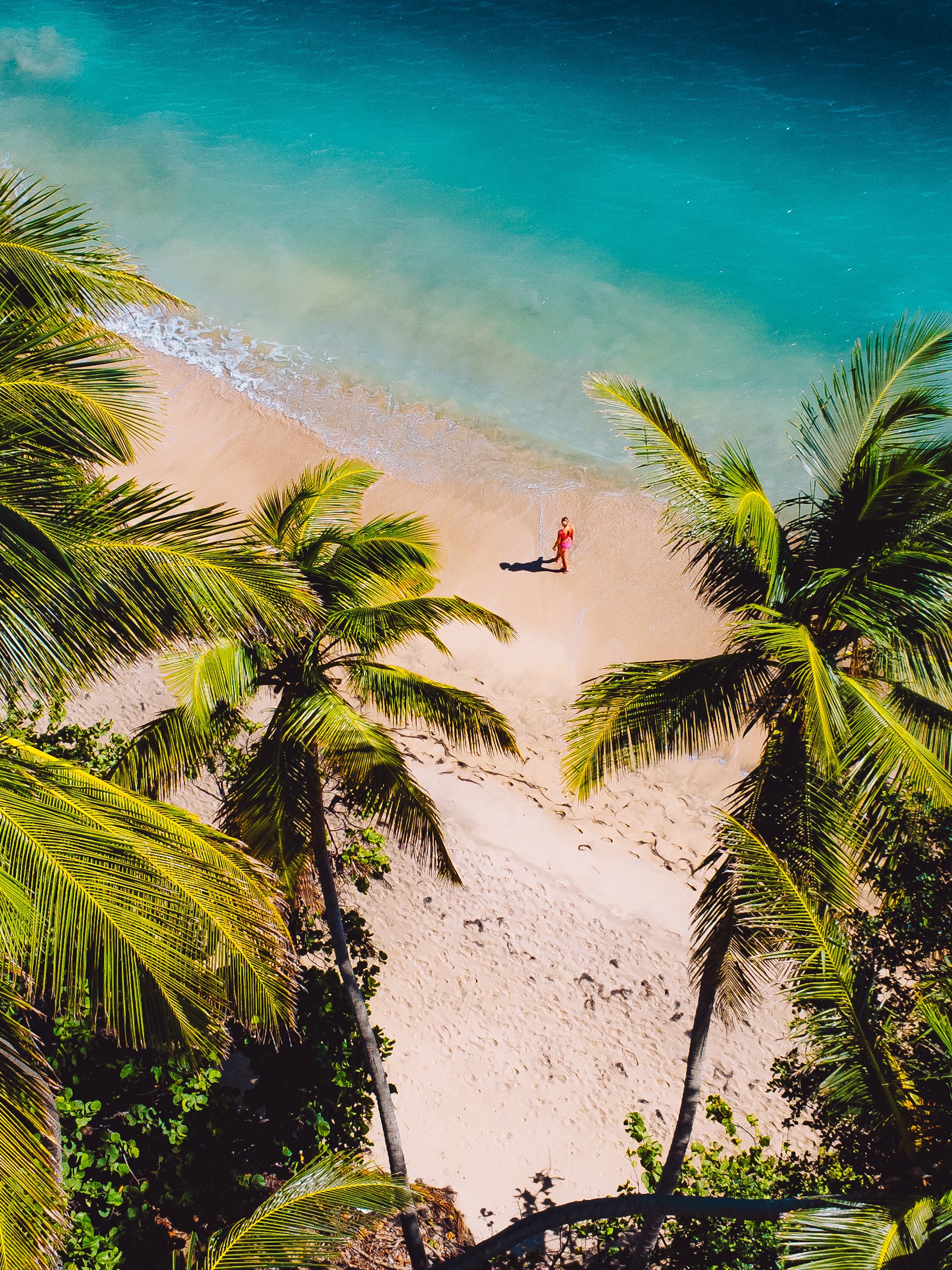 Bequia Beach Hotel by null
