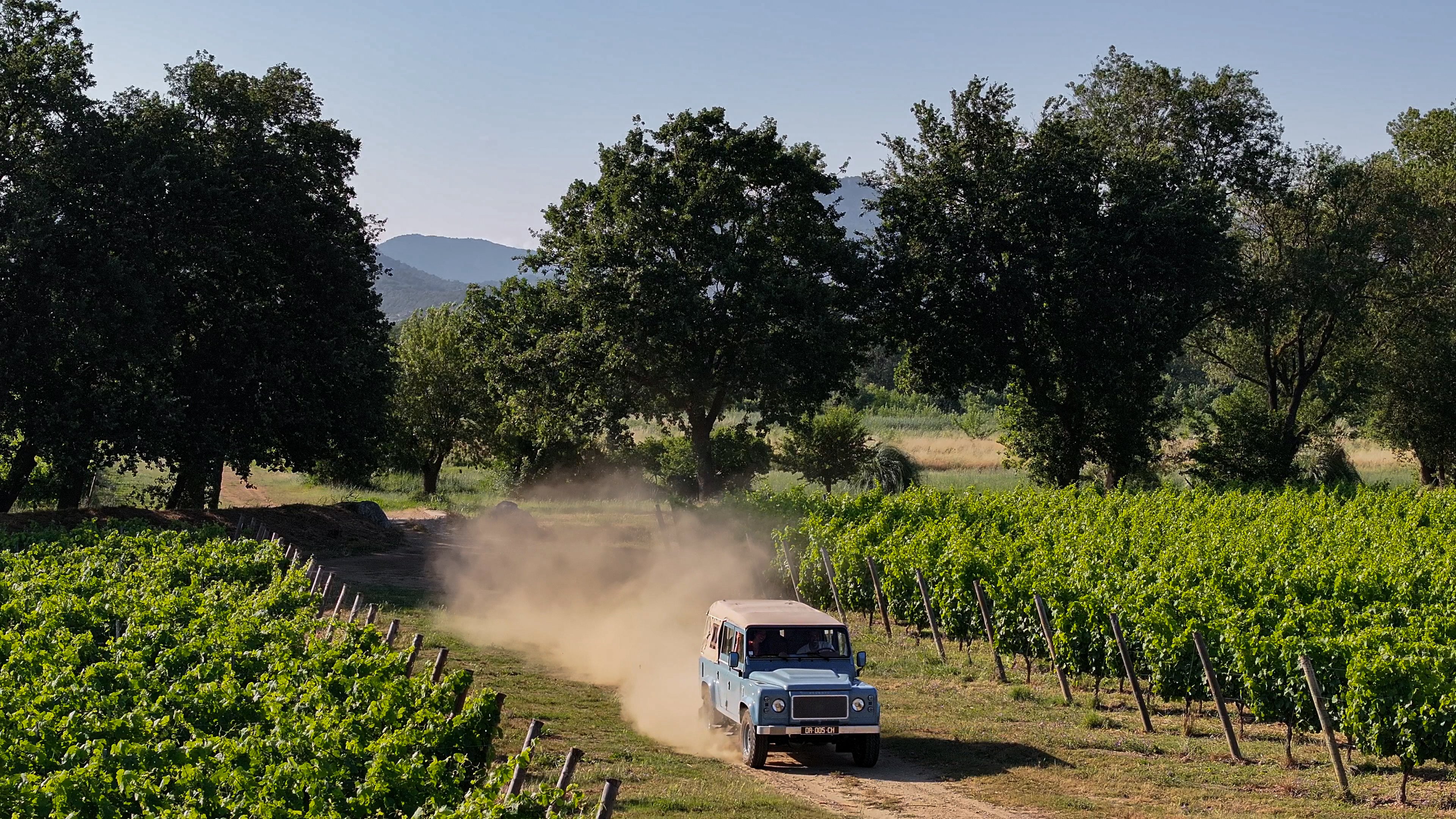 AREV St. Tropez by null