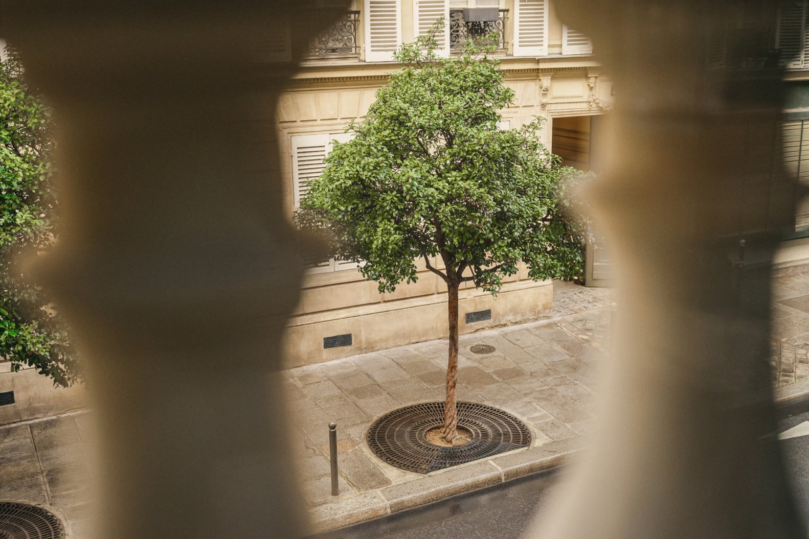 Soho House Paris by null