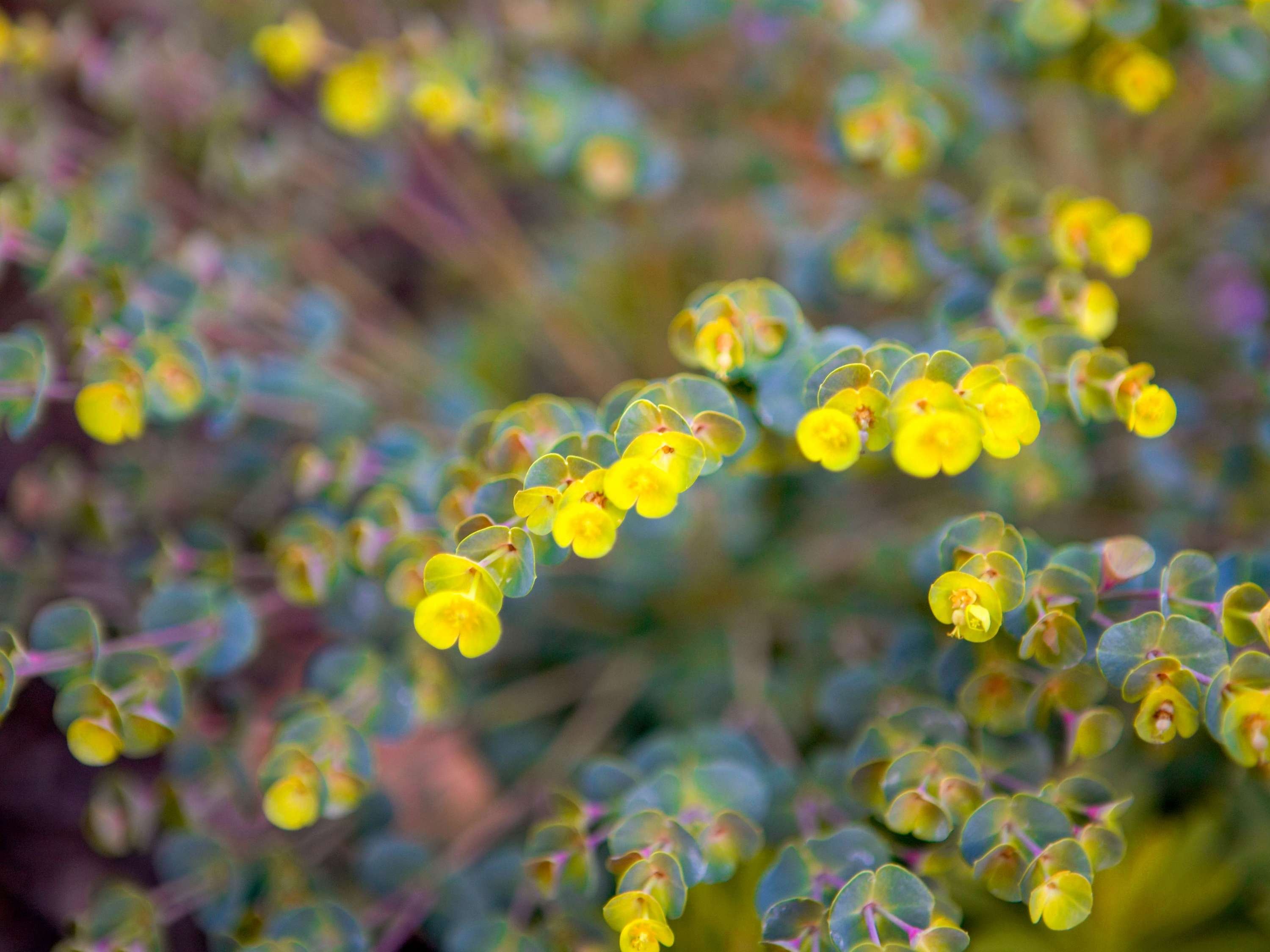 BreakFree Capital Tower Canberra by null