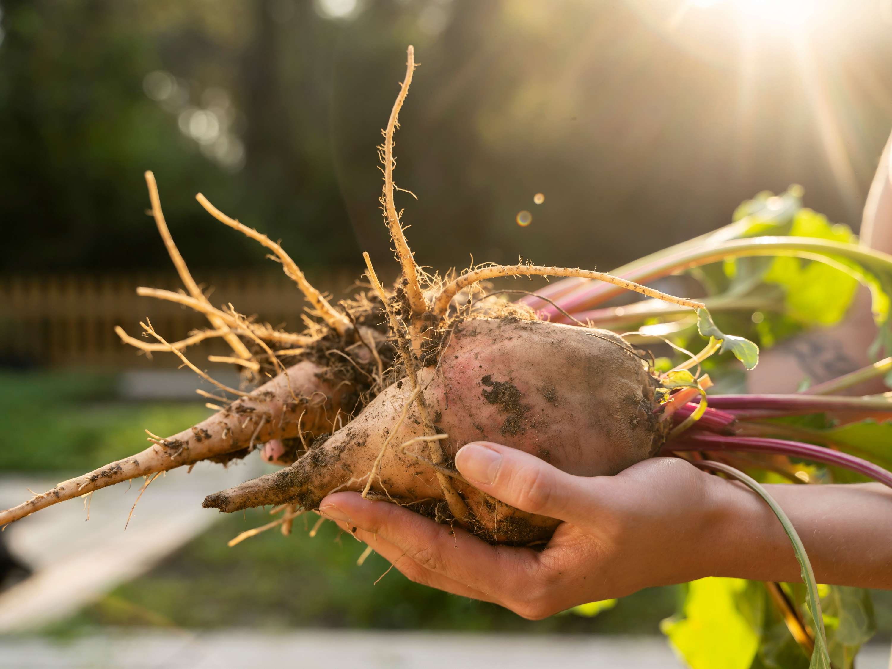 The Larwill Studio Melbourne - Art Series by null