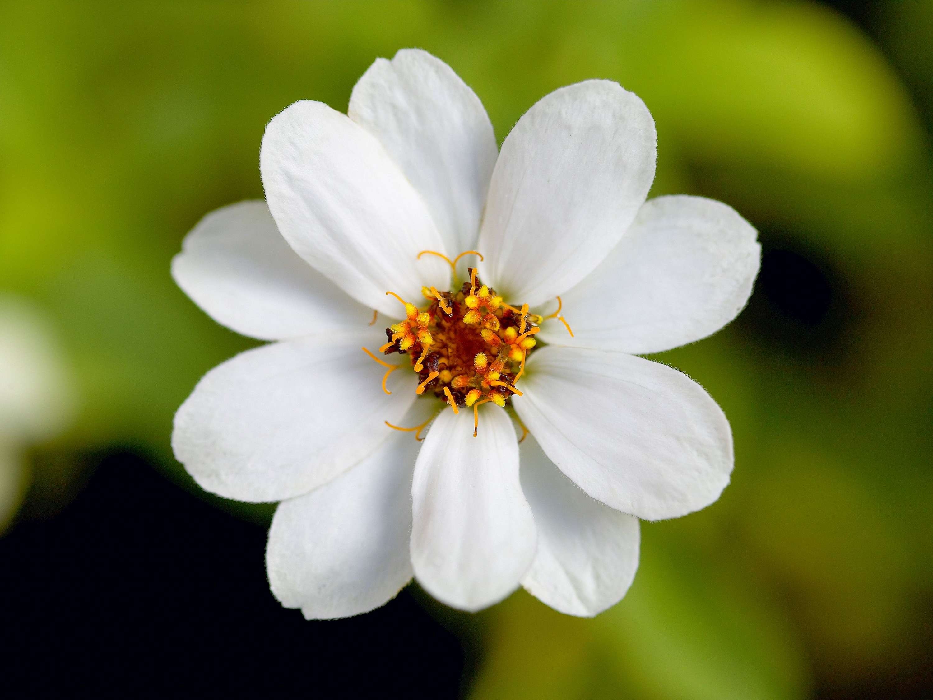 The Larwill Studio Melbourne - Art Series by null