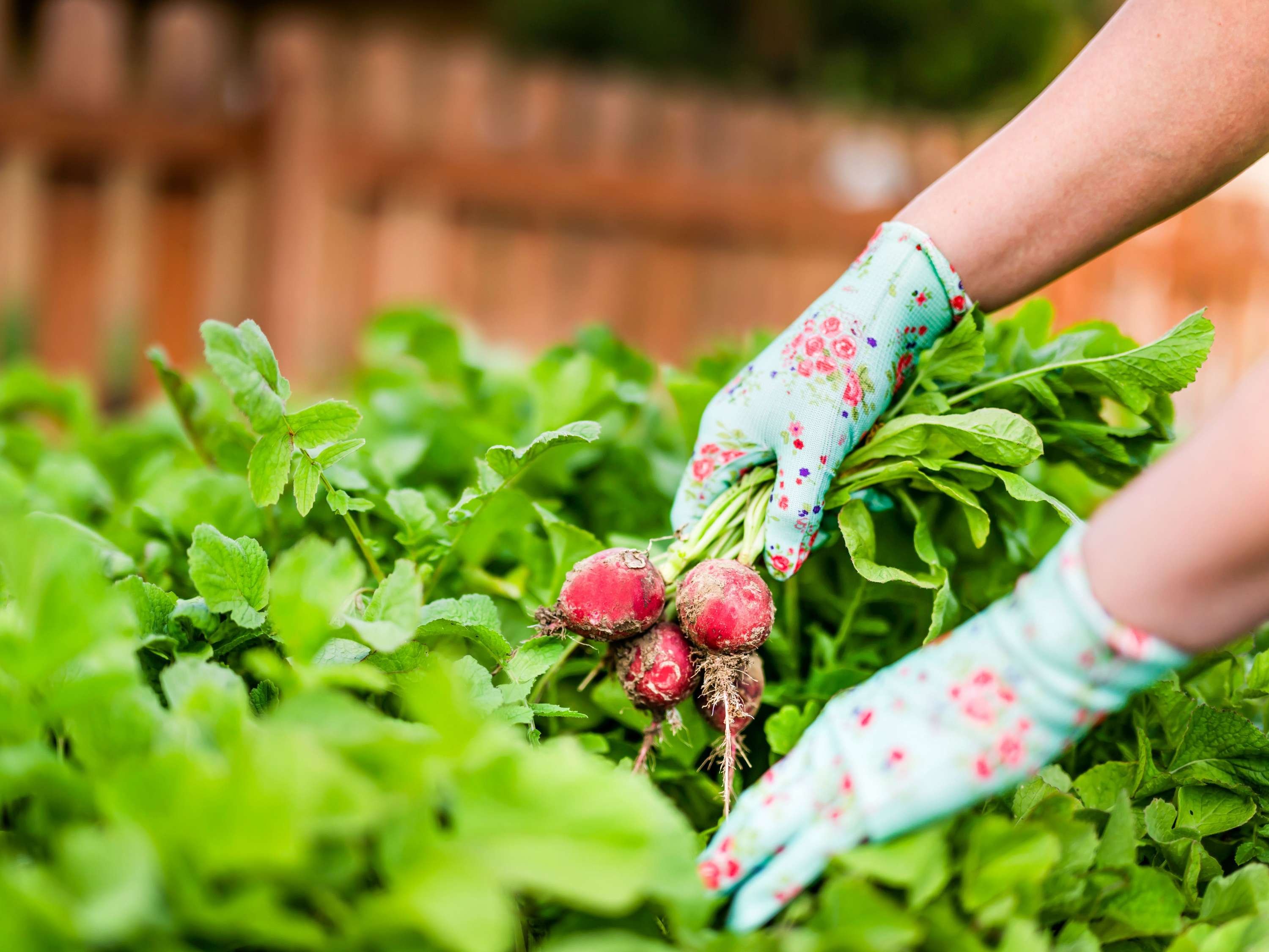 The Cullen Melbourne - Art Series by null