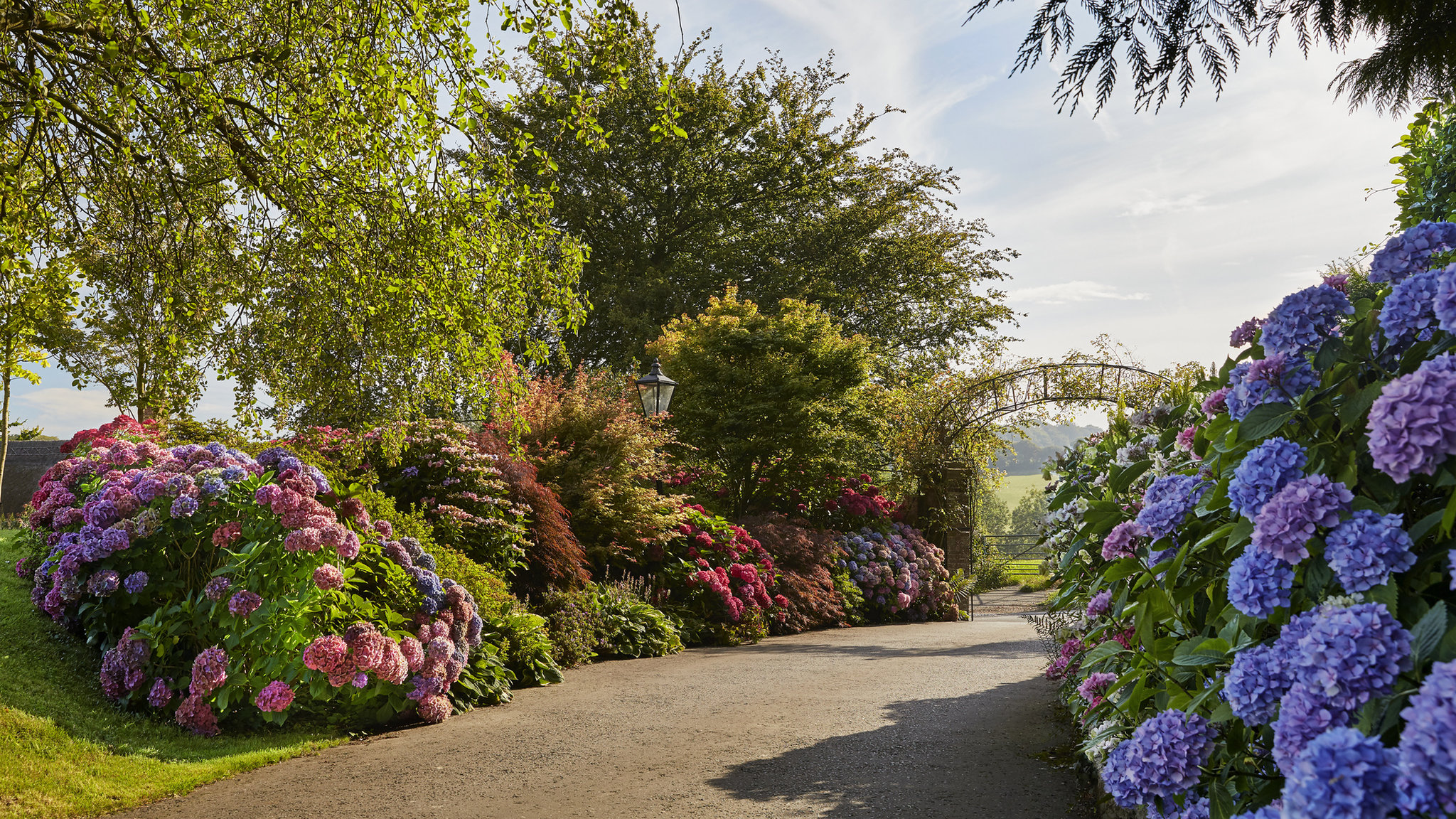 Summer Lodge Country House Hotel & Restaurant by null