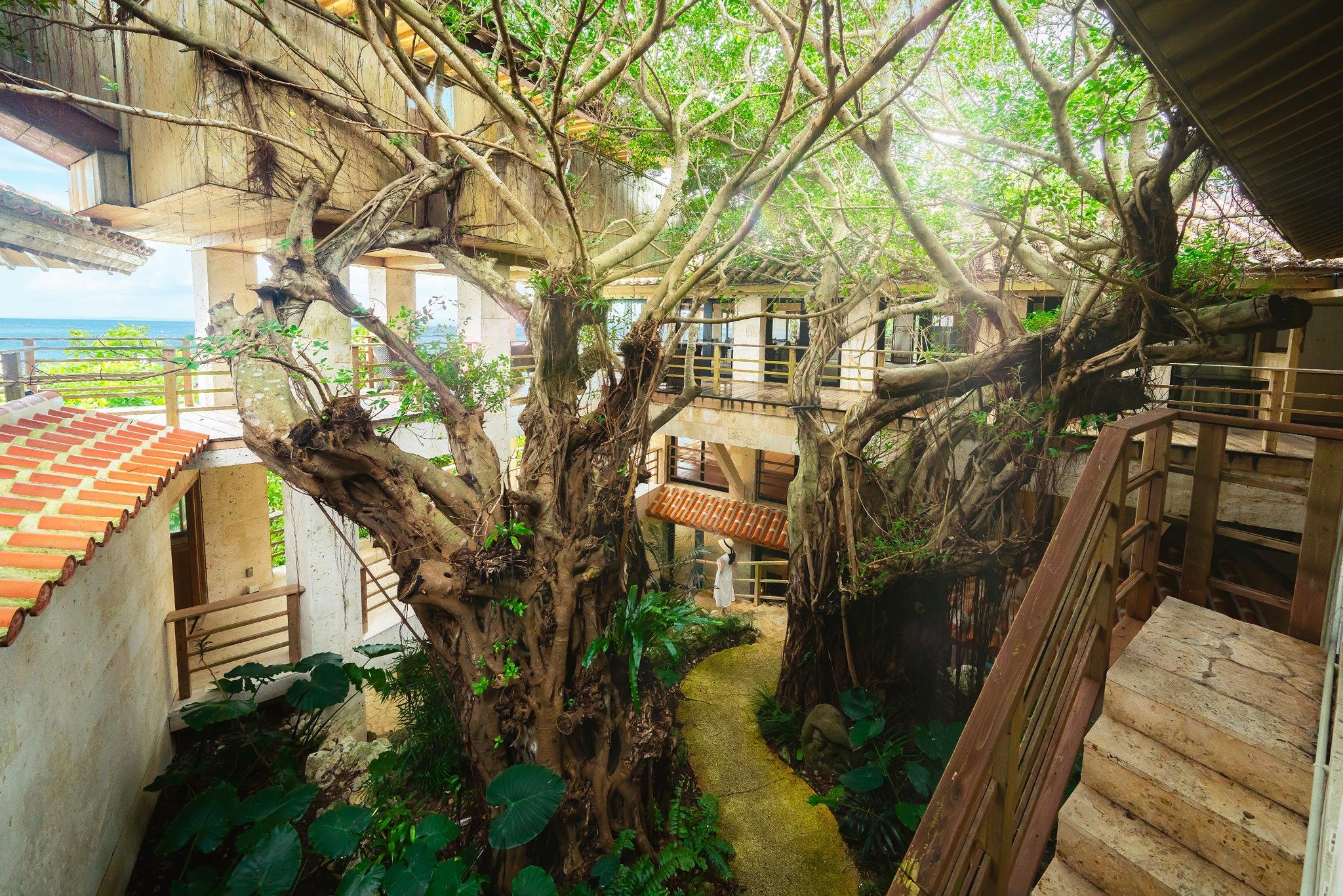 Hyakuna Garan by null