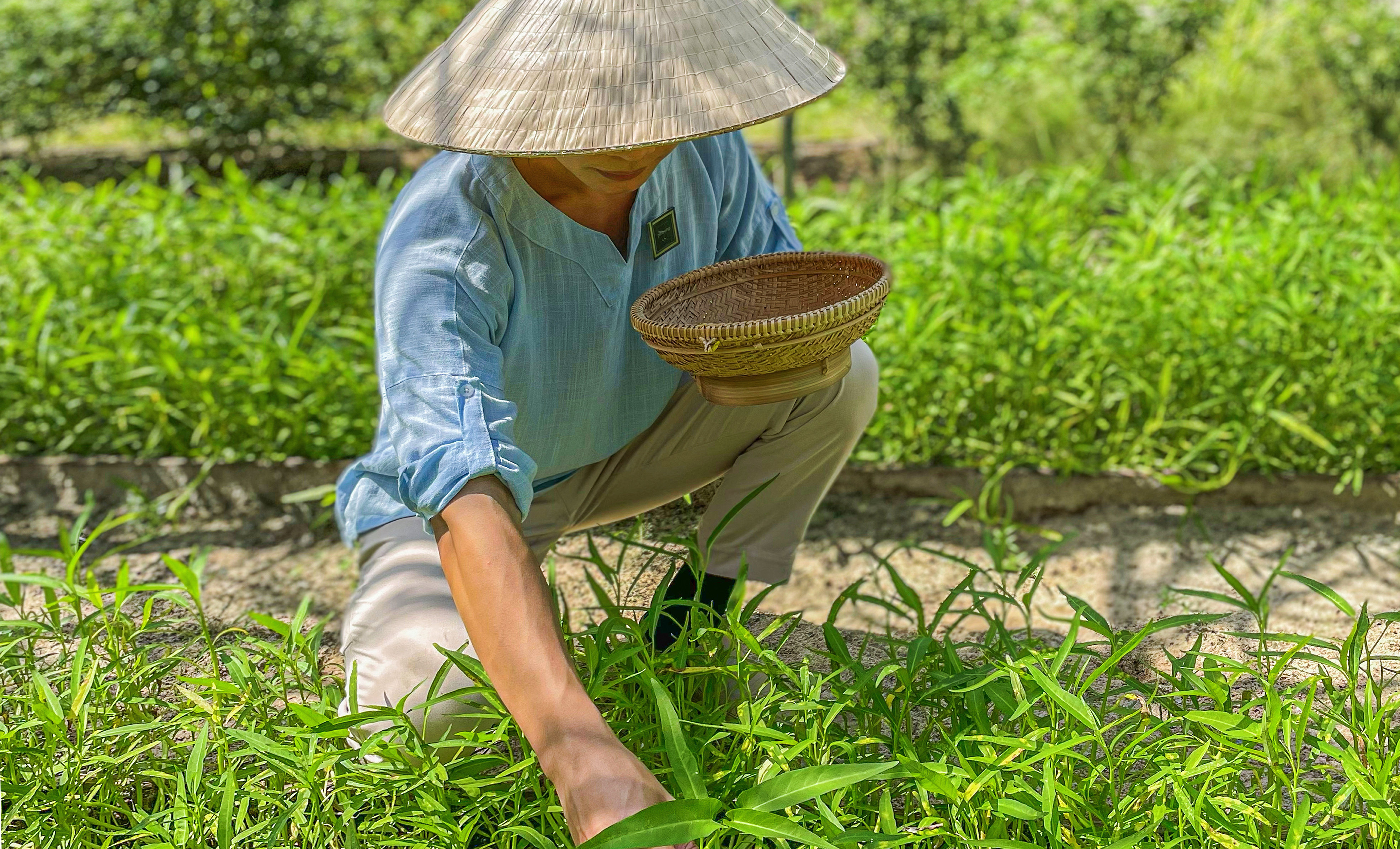 Fusion Resort Cam Ranh by null