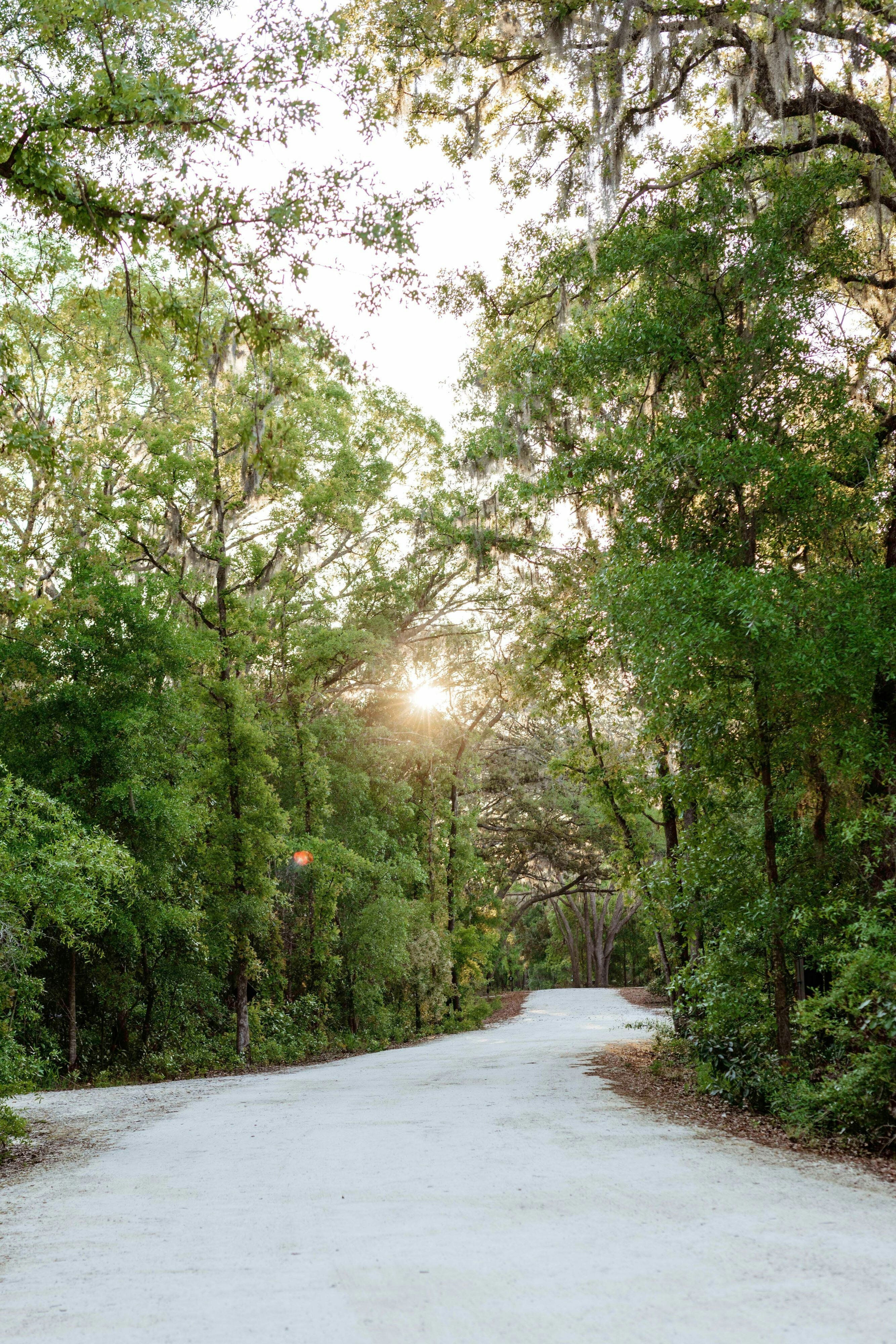 Postcard Cabins Eastern Catskills, Outdoor Collection by Marriott Bonvoy by null