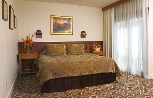 The Avalon Hotel by null