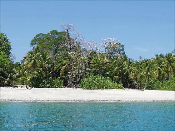 Islas Secas Resort by null
