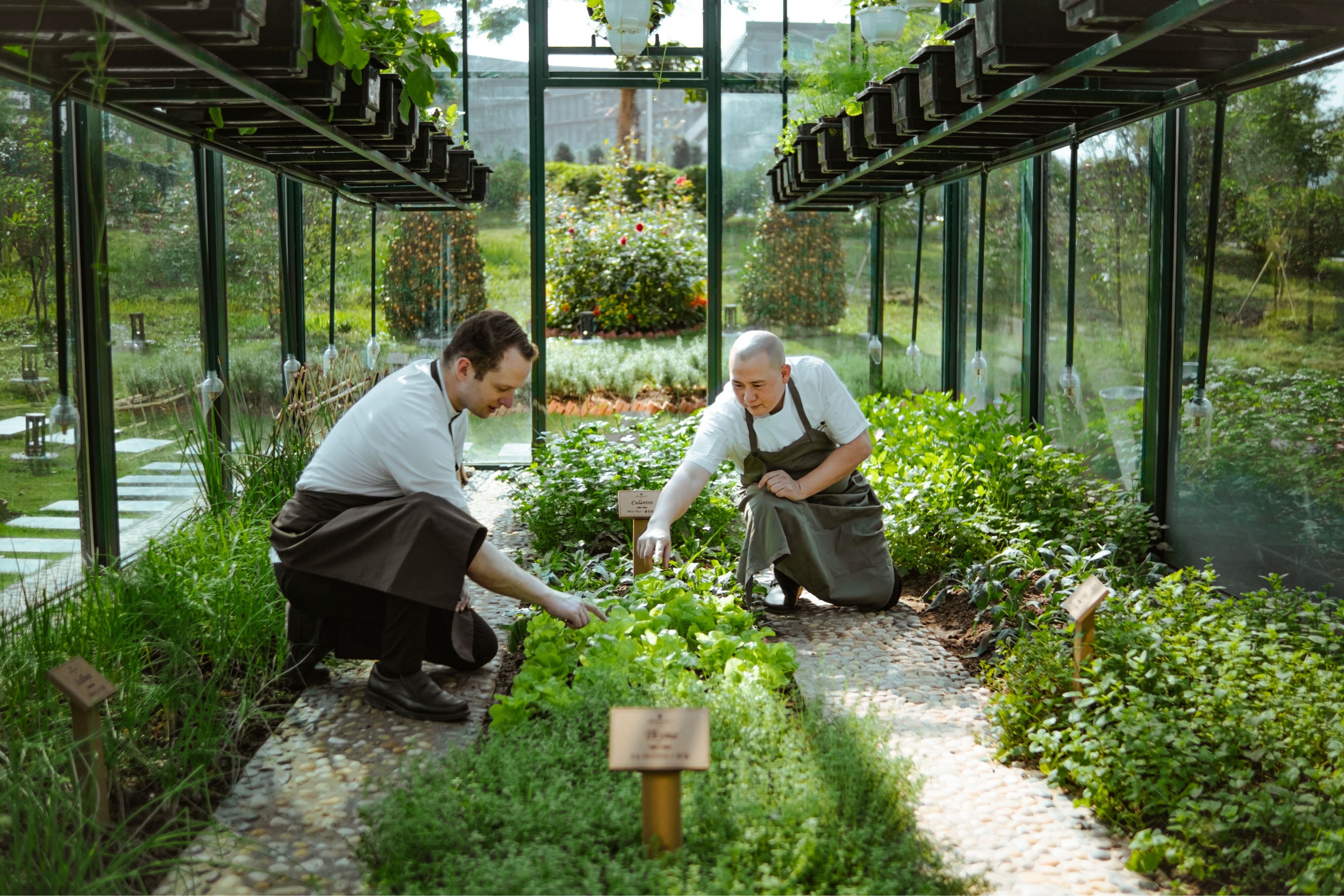 JW Marriott Hotel Hanoi by null