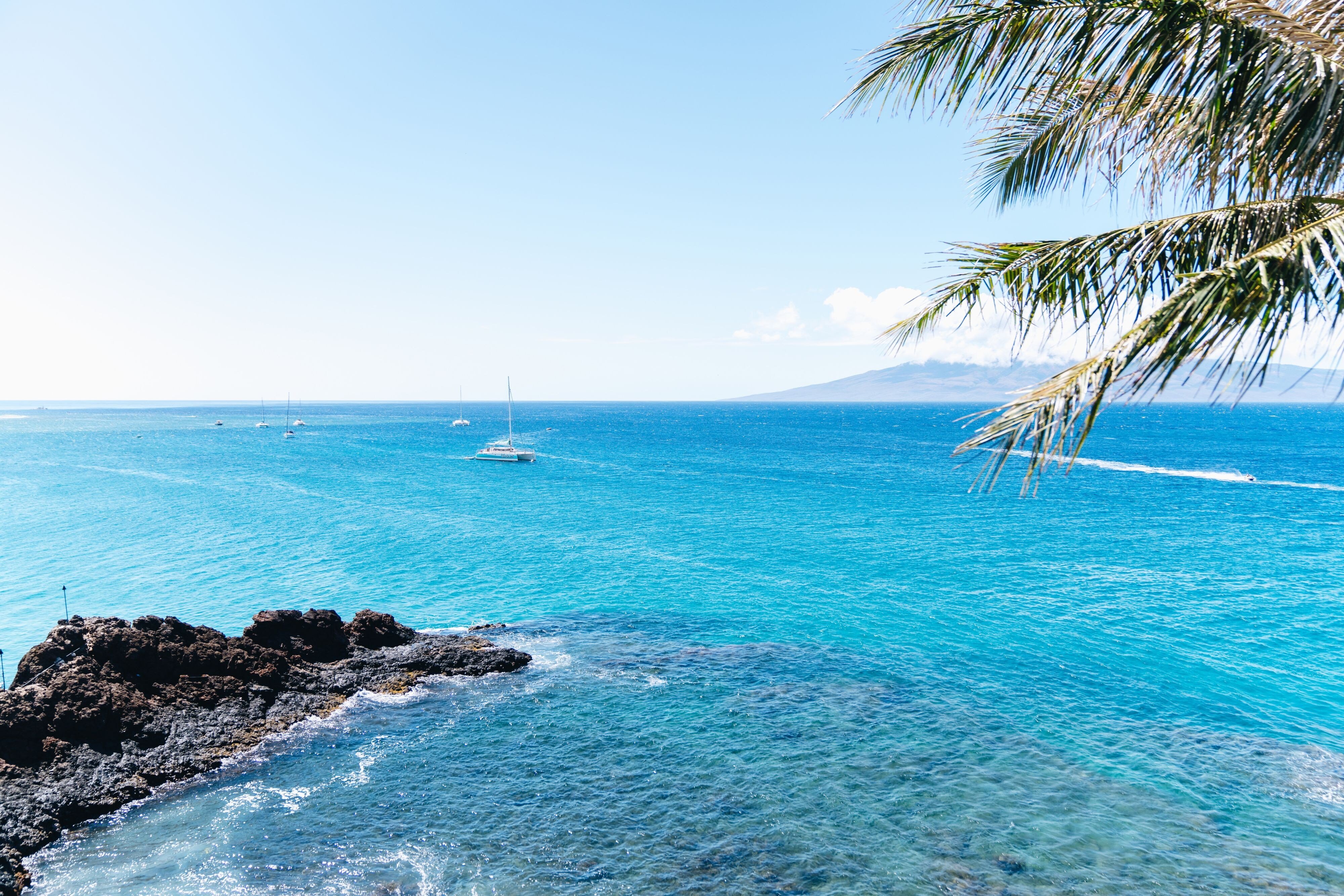 Sheraton Maui Resort & Spa by null