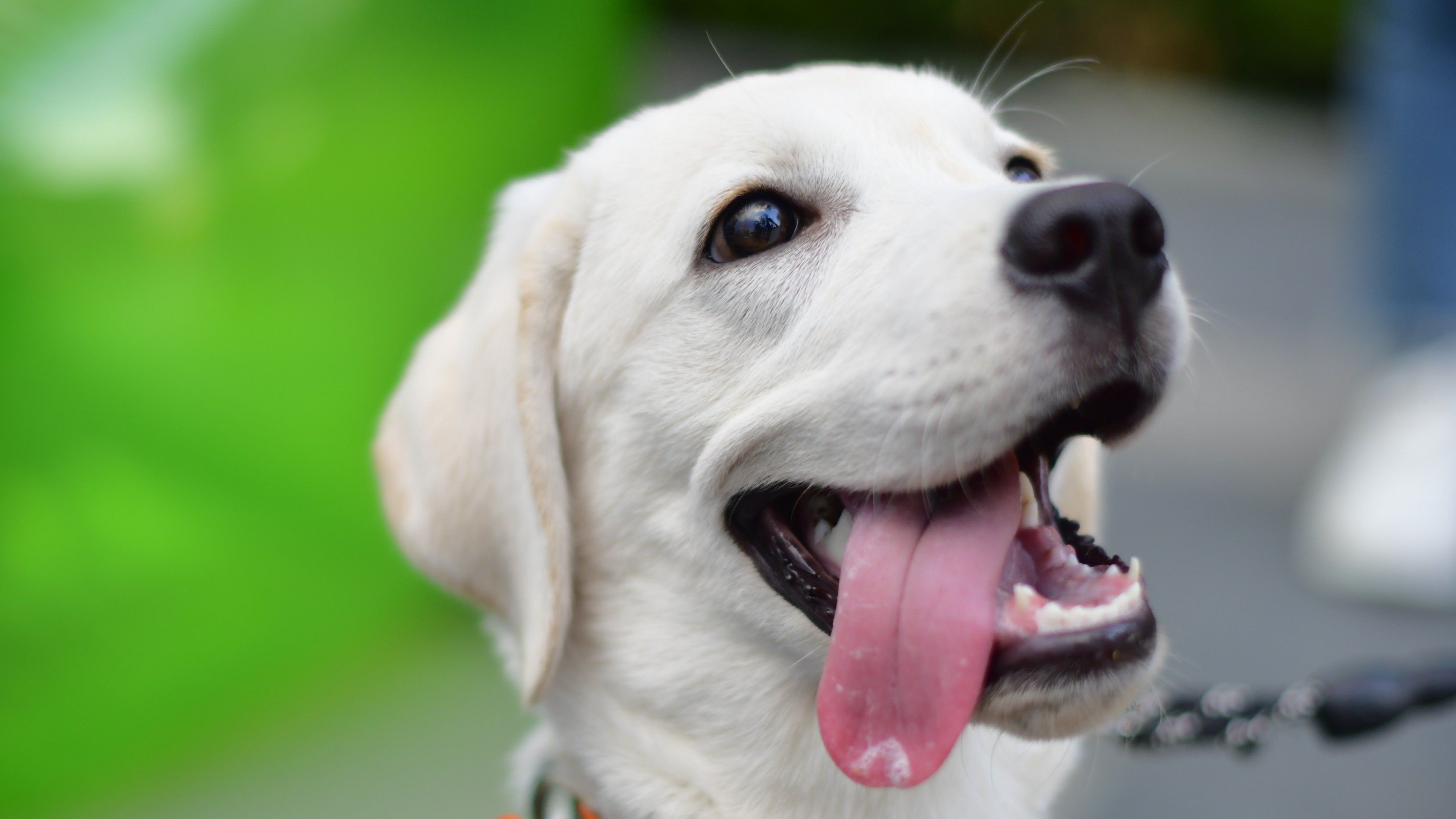 Kimpton Suzhou Bamboo Grove, an IHG Hotel by null