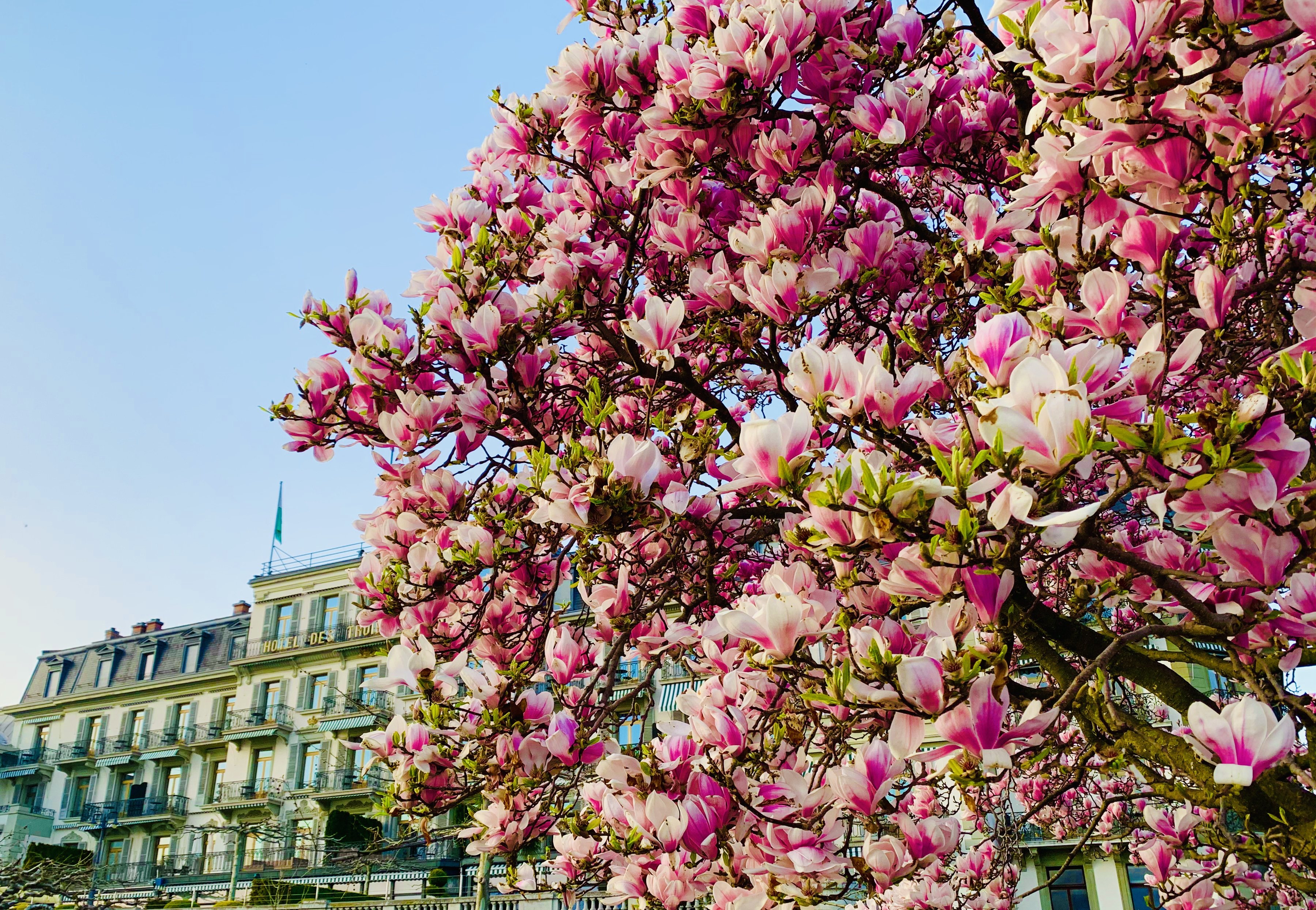 Hotel des Trois Couronnes by null