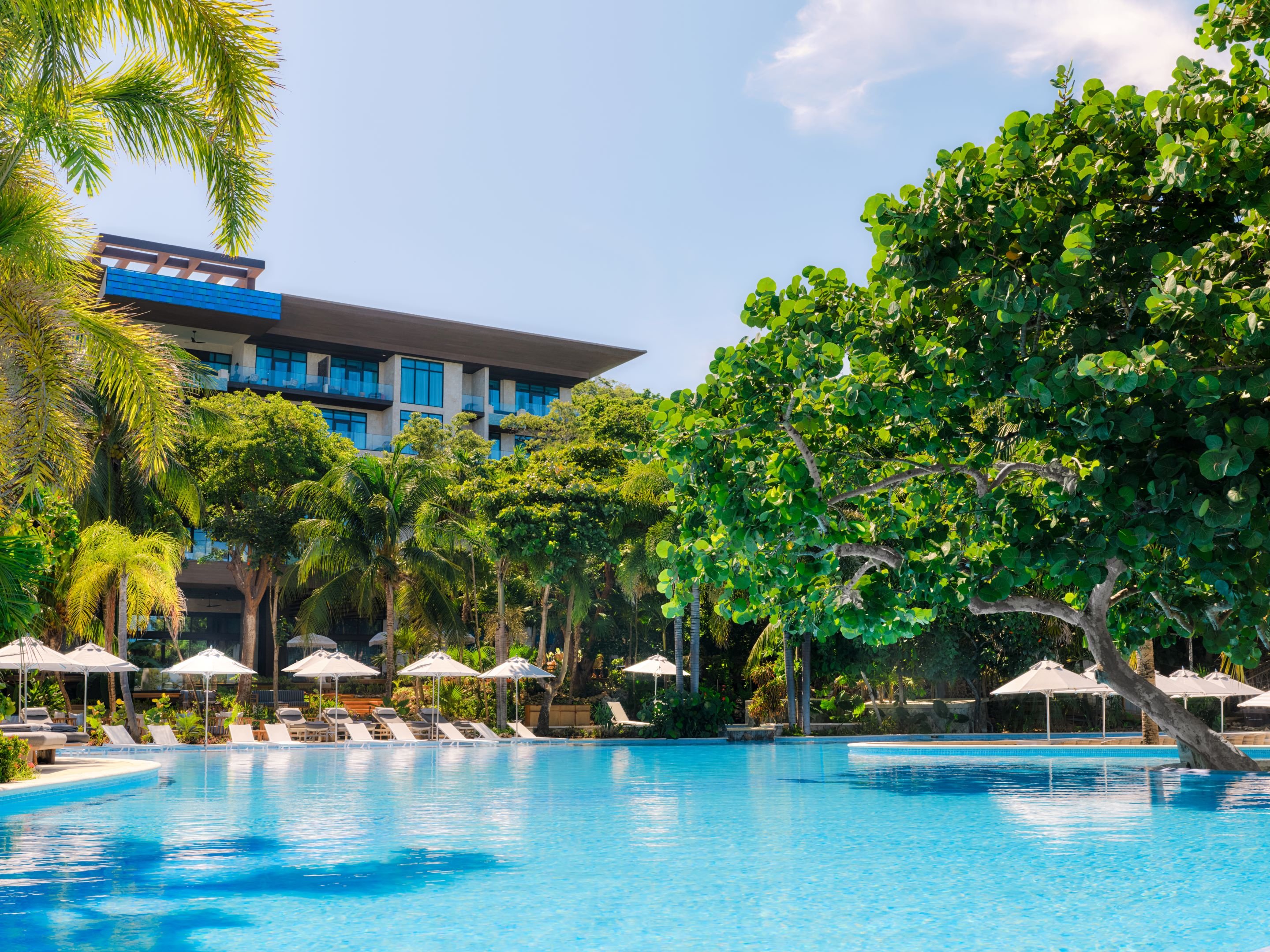 Kimpton Grand Roatan Resort and Spa by null