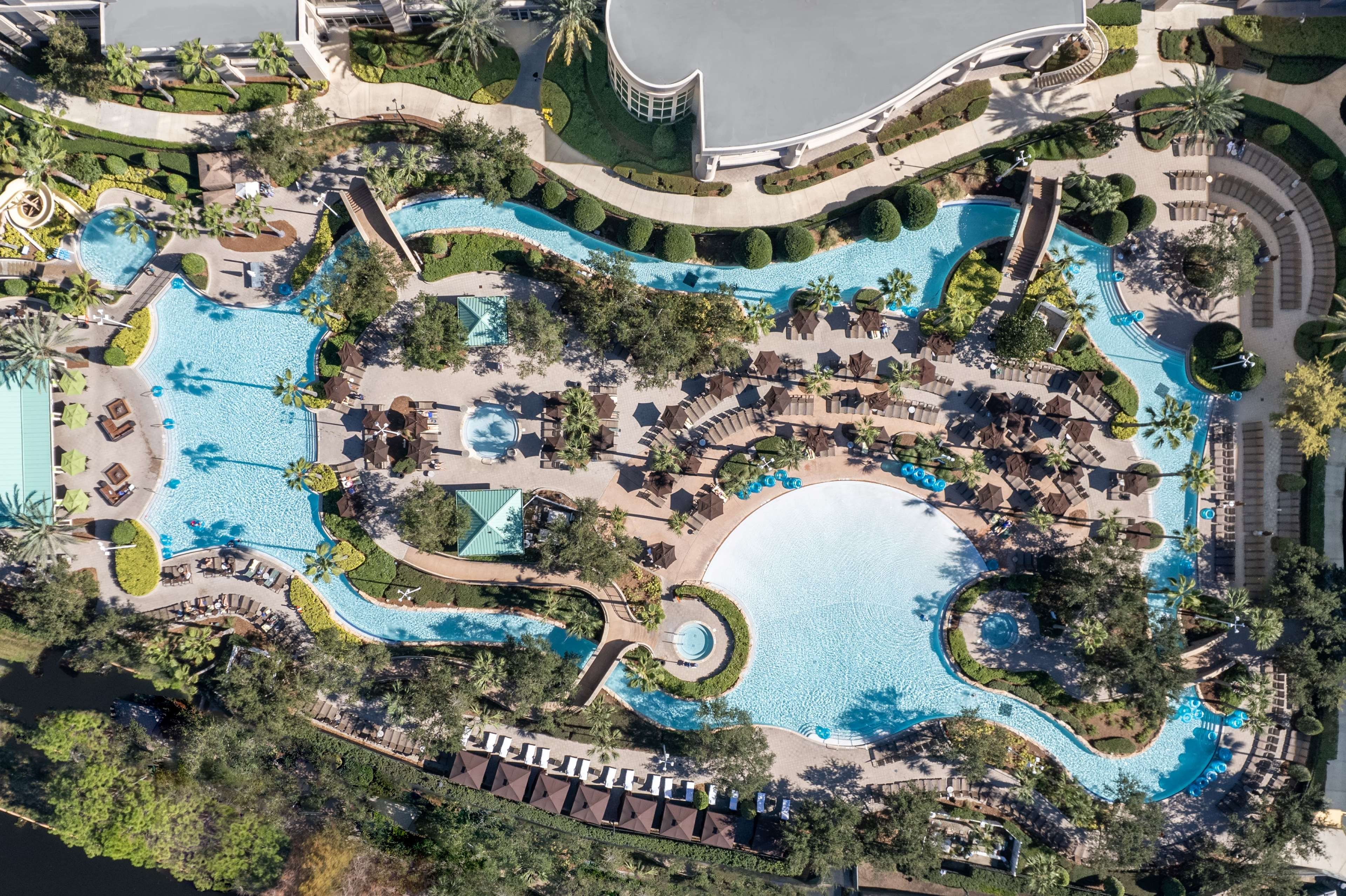 Waldorf Astoria Orlando - An Official Walt Disney World Hotel by null