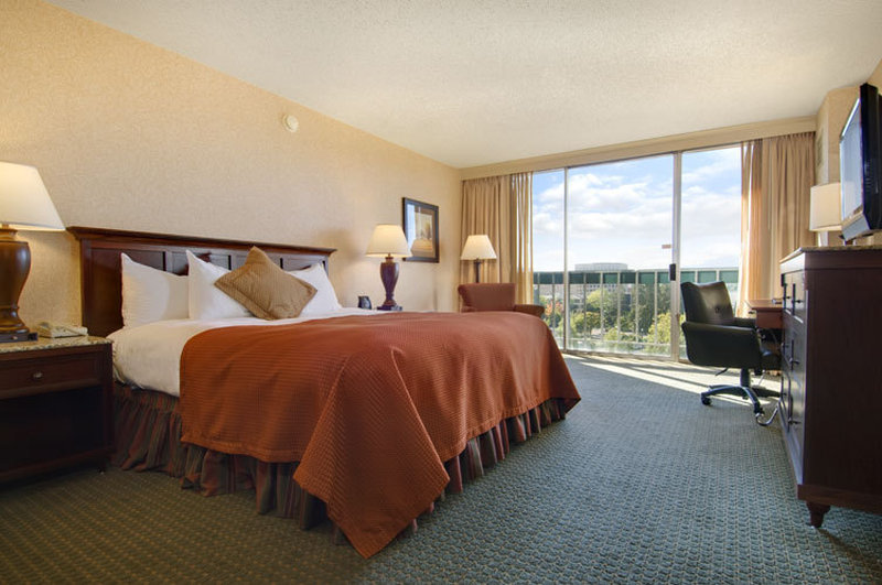 Graduate by Hilton Eugene by null