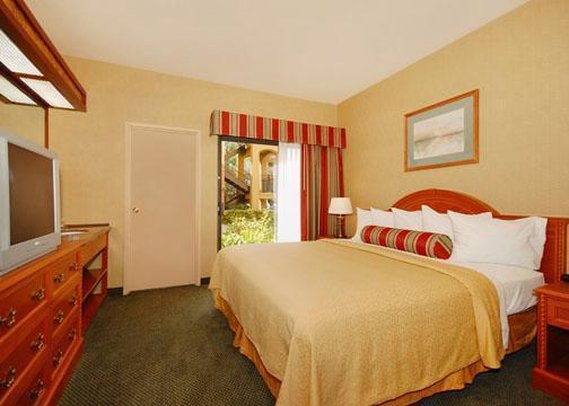 CW Suites photo 5