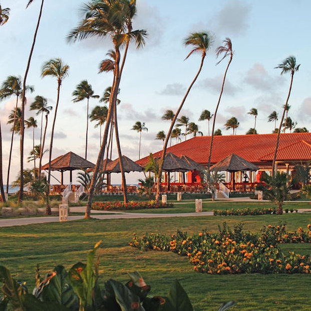 Melia Coco Beach by null