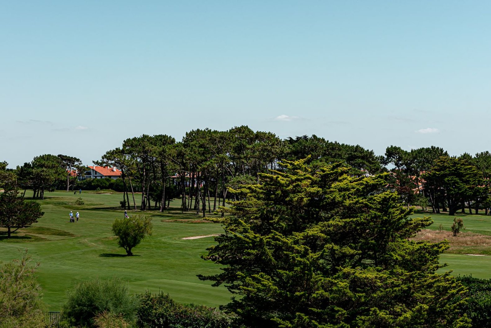 Regina Experimental Biarritz by null