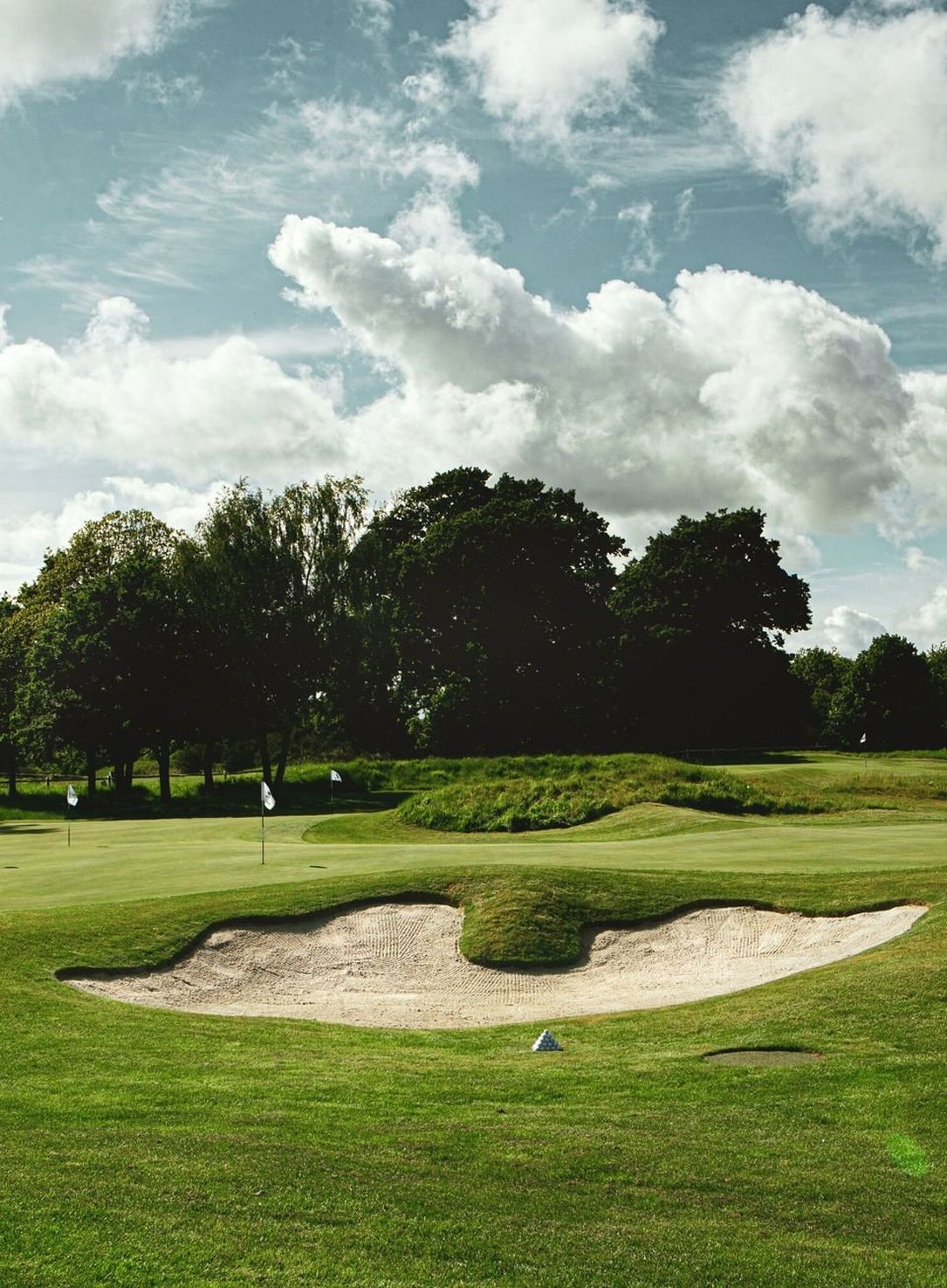 The Goodwood Hotel by null