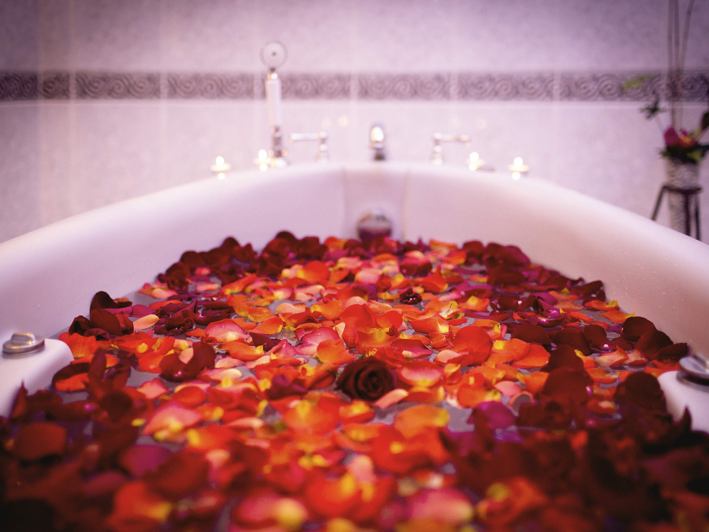 Swissôtel Quito by null