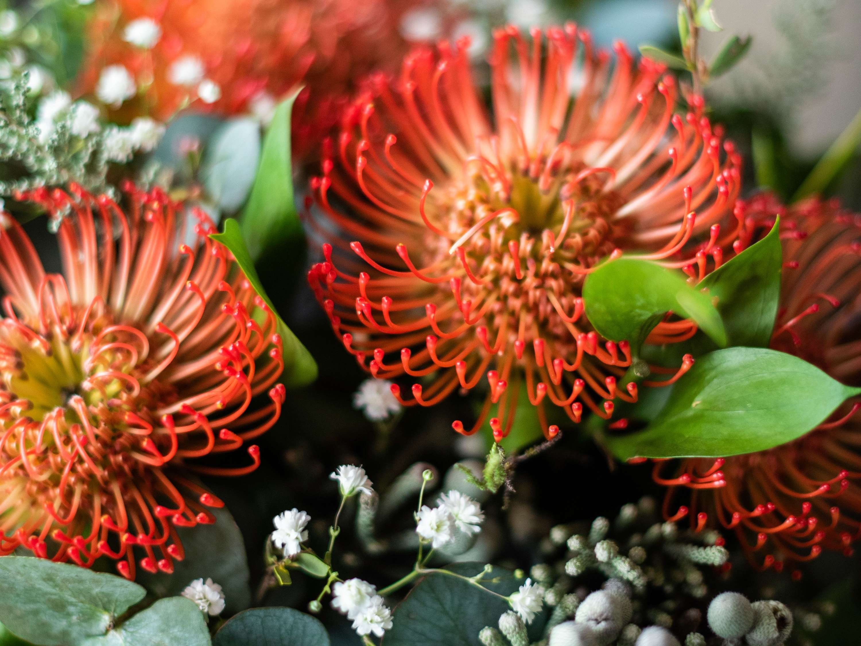 Cape Grace, A Fairmont Managed Hotel by null Cape Grace, A Fairmont Managed Hotel by null