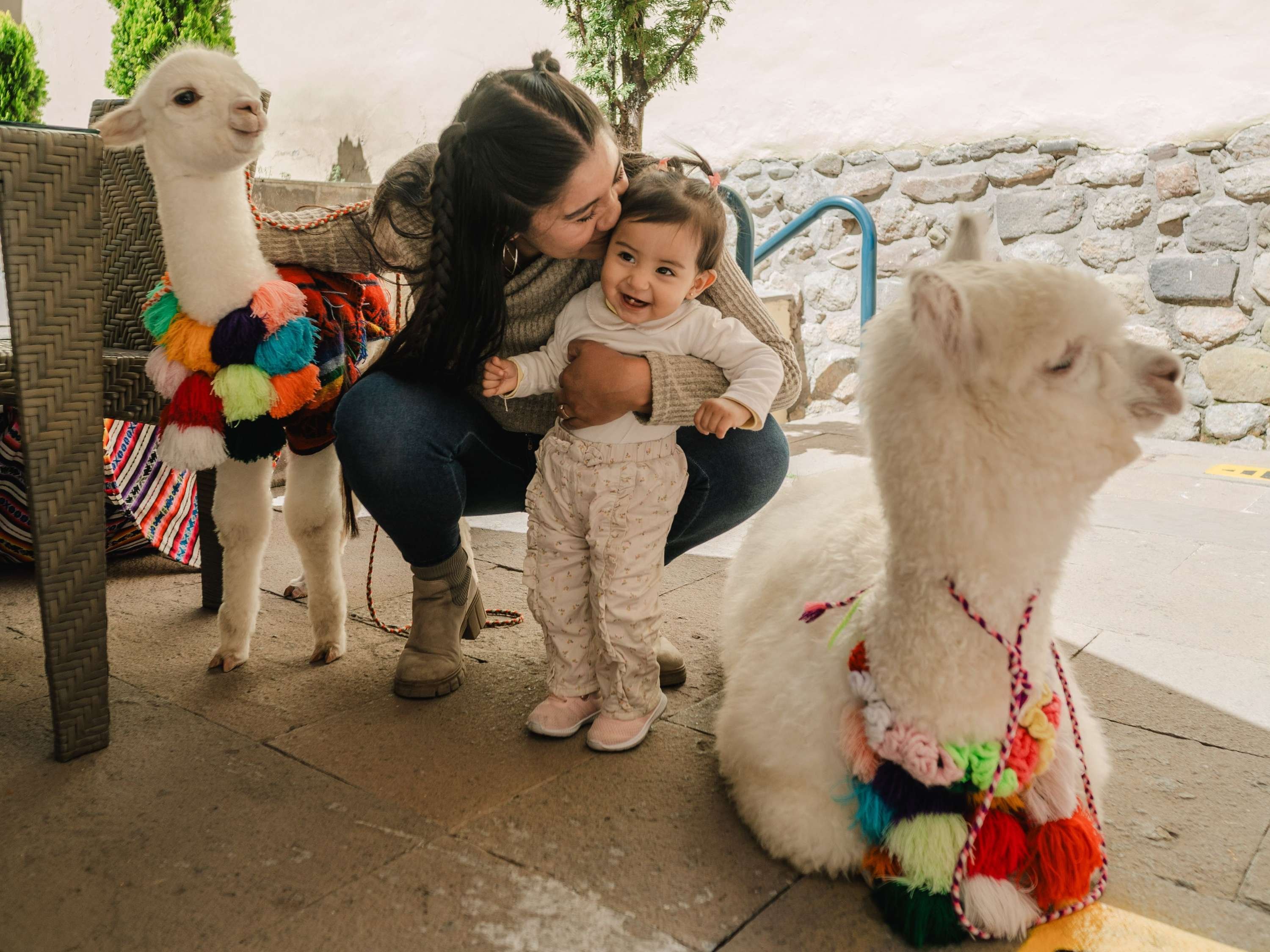 Novotel Cusco by null