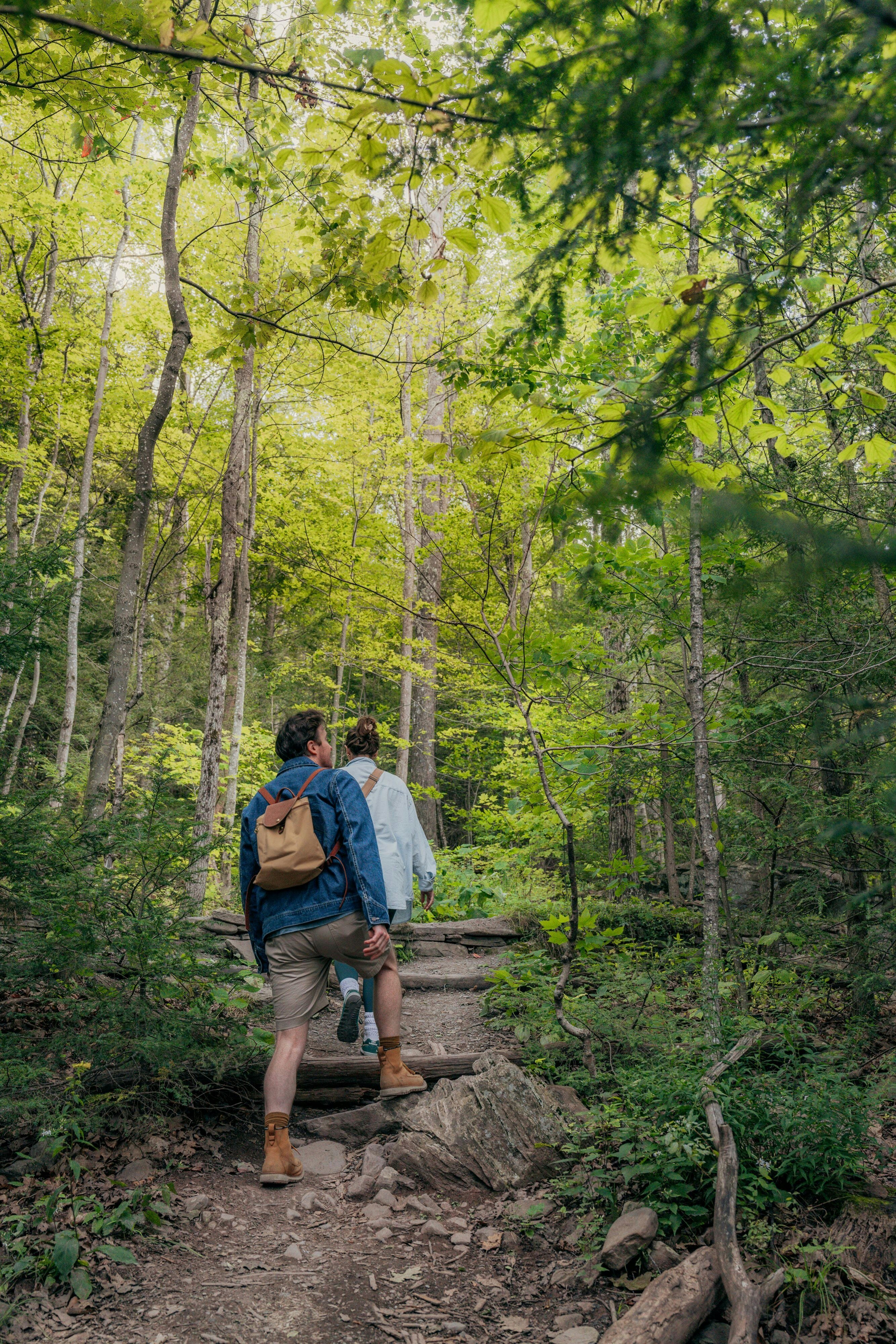 Postcard Cabins Eastern Catskills, Outdoor Collection by Marriott Bonvoy by null