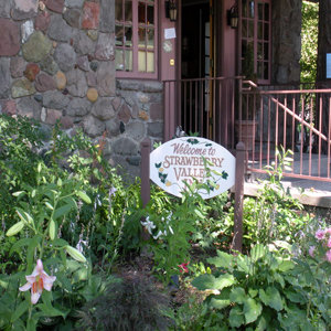 Strawberry Valley Inn by null