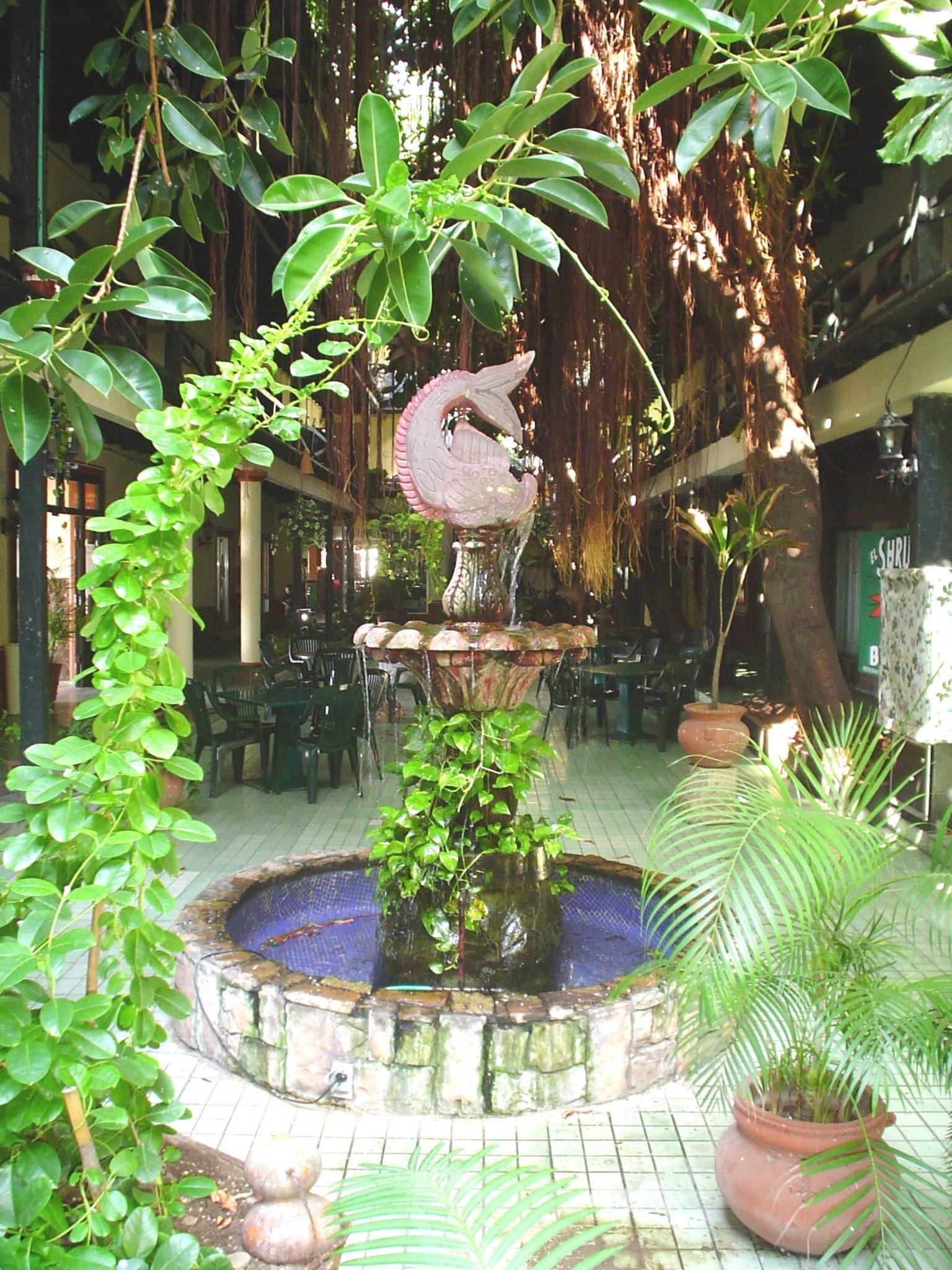 Hotel La Siesta by null