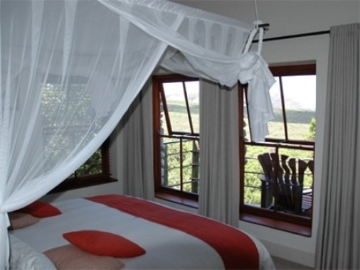 Grootbos Private Nature Reserve by null Grootbos Private Nature Reserve by null