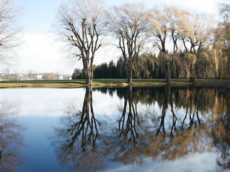 Chalet of Canandaigua Bed & Breakfast by null