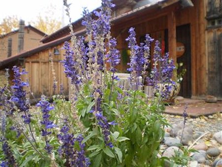 Silver River Adobe Inn by null