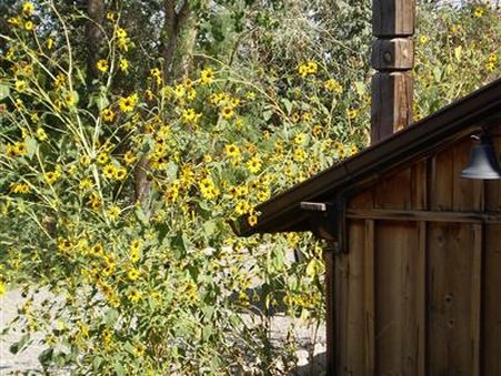 Silver River Adobe Inn by null
