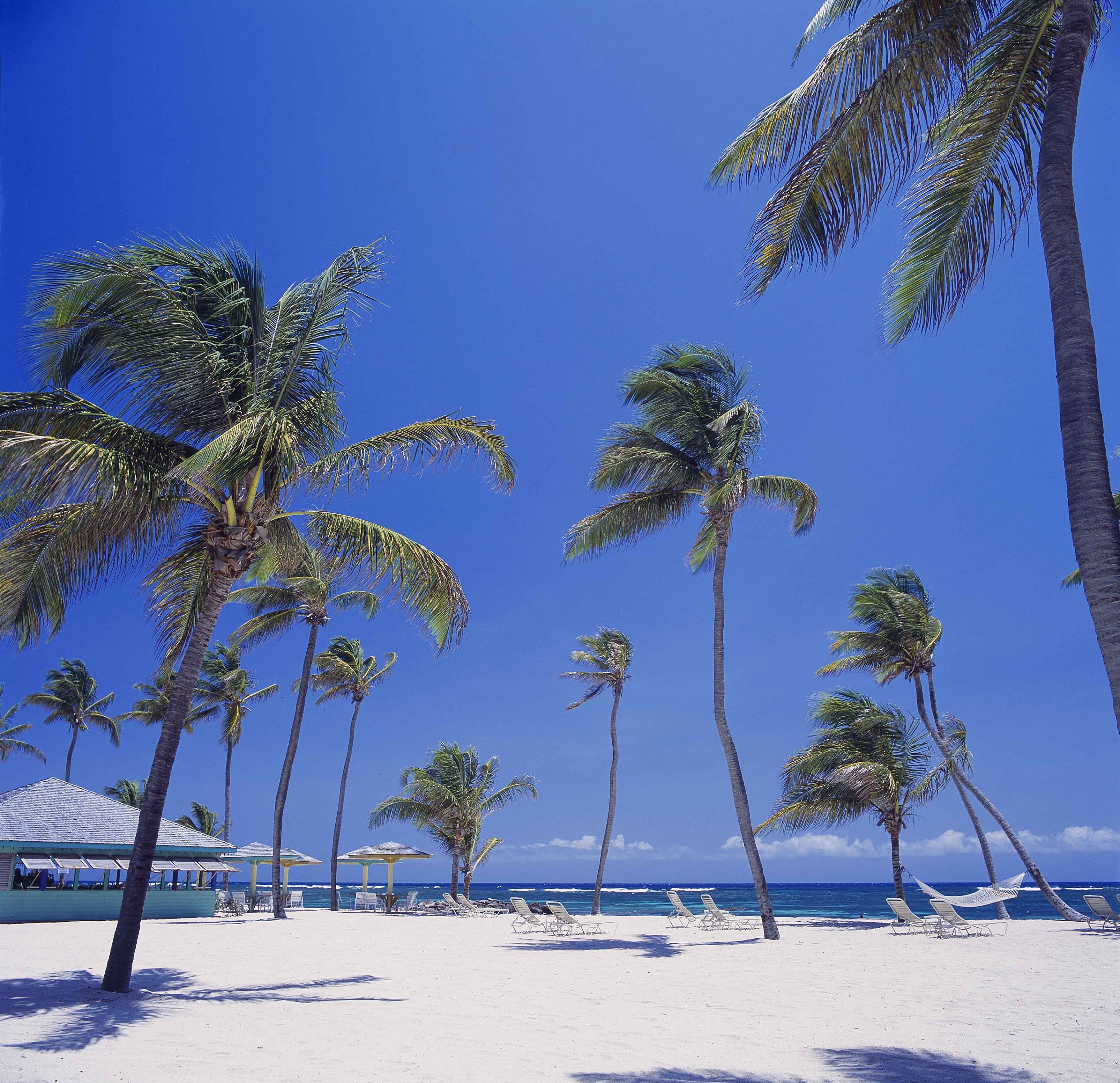 Nisbet Plantation Beach Club by null