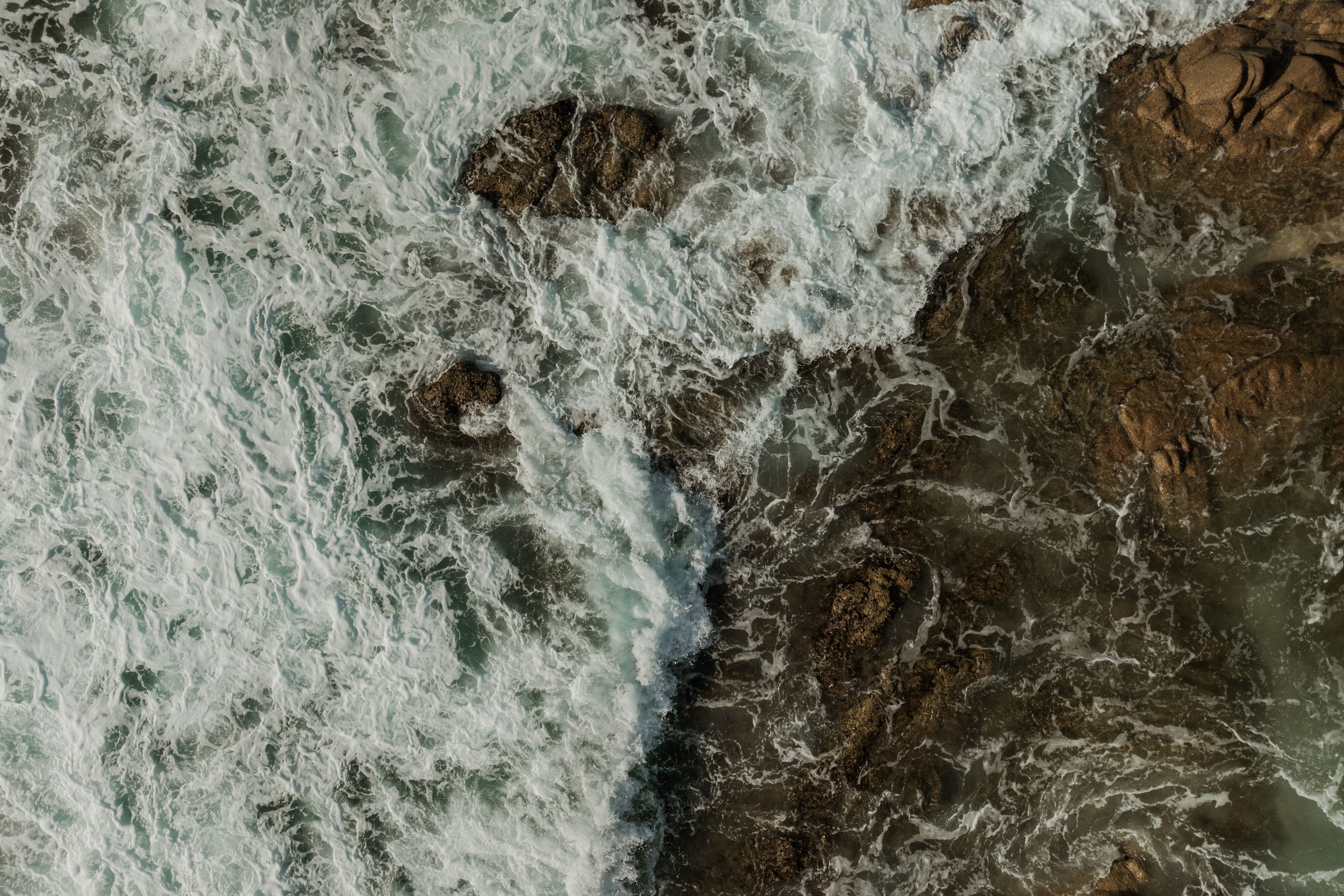 Solaz, a Luxury Collection Resort, Los Cabos by null