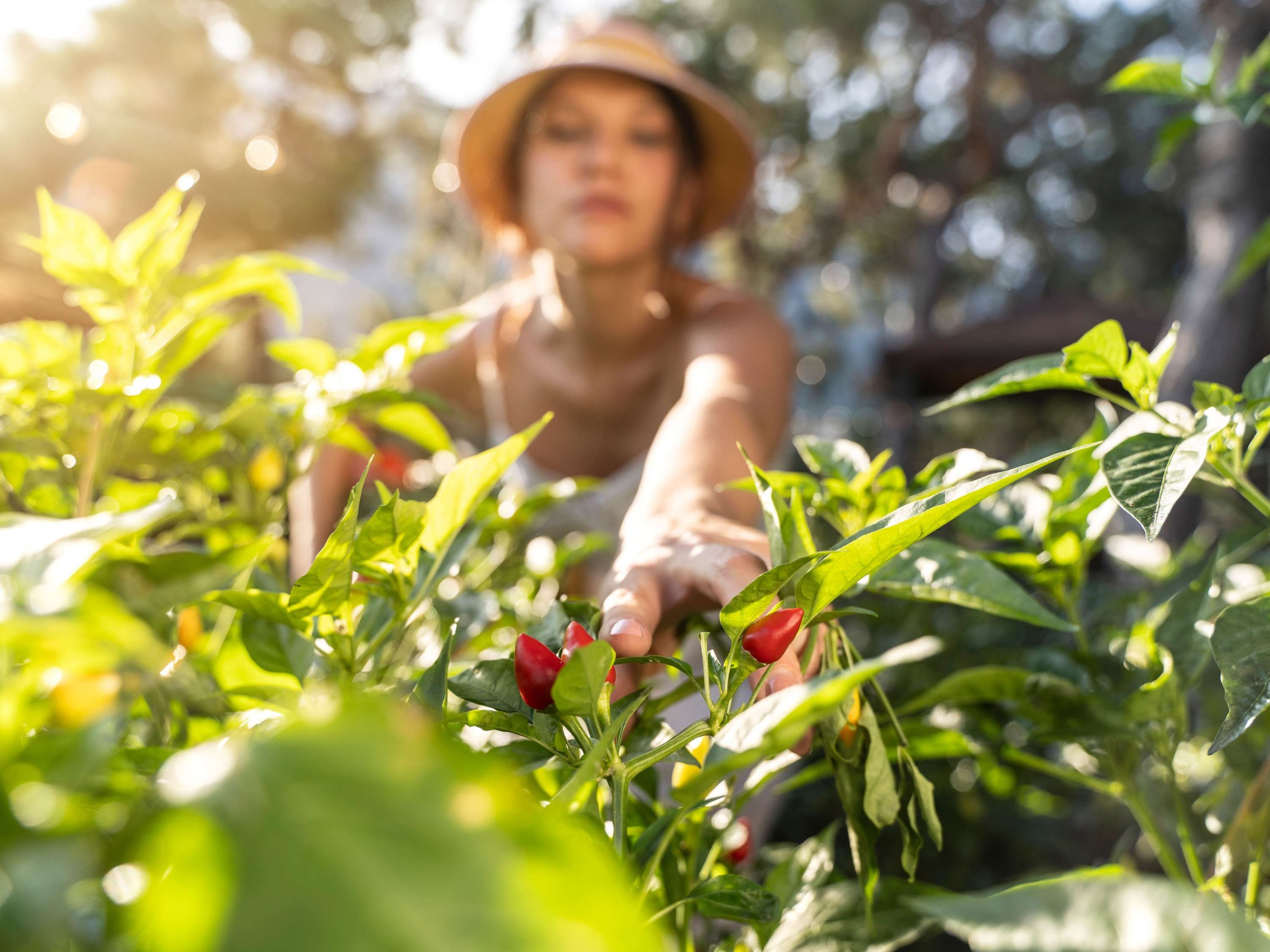 Mantra Hindmarsh Square Adelaide by null
