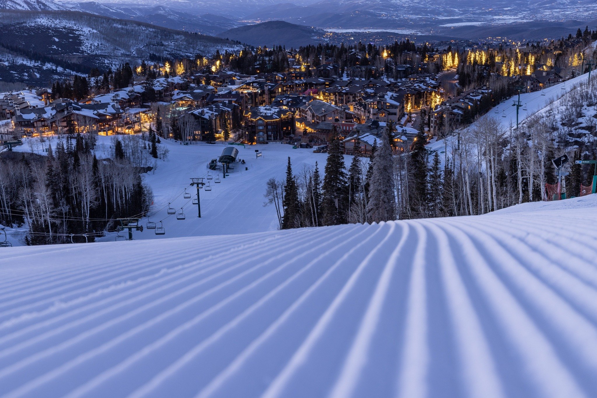 The Brass Tag by null