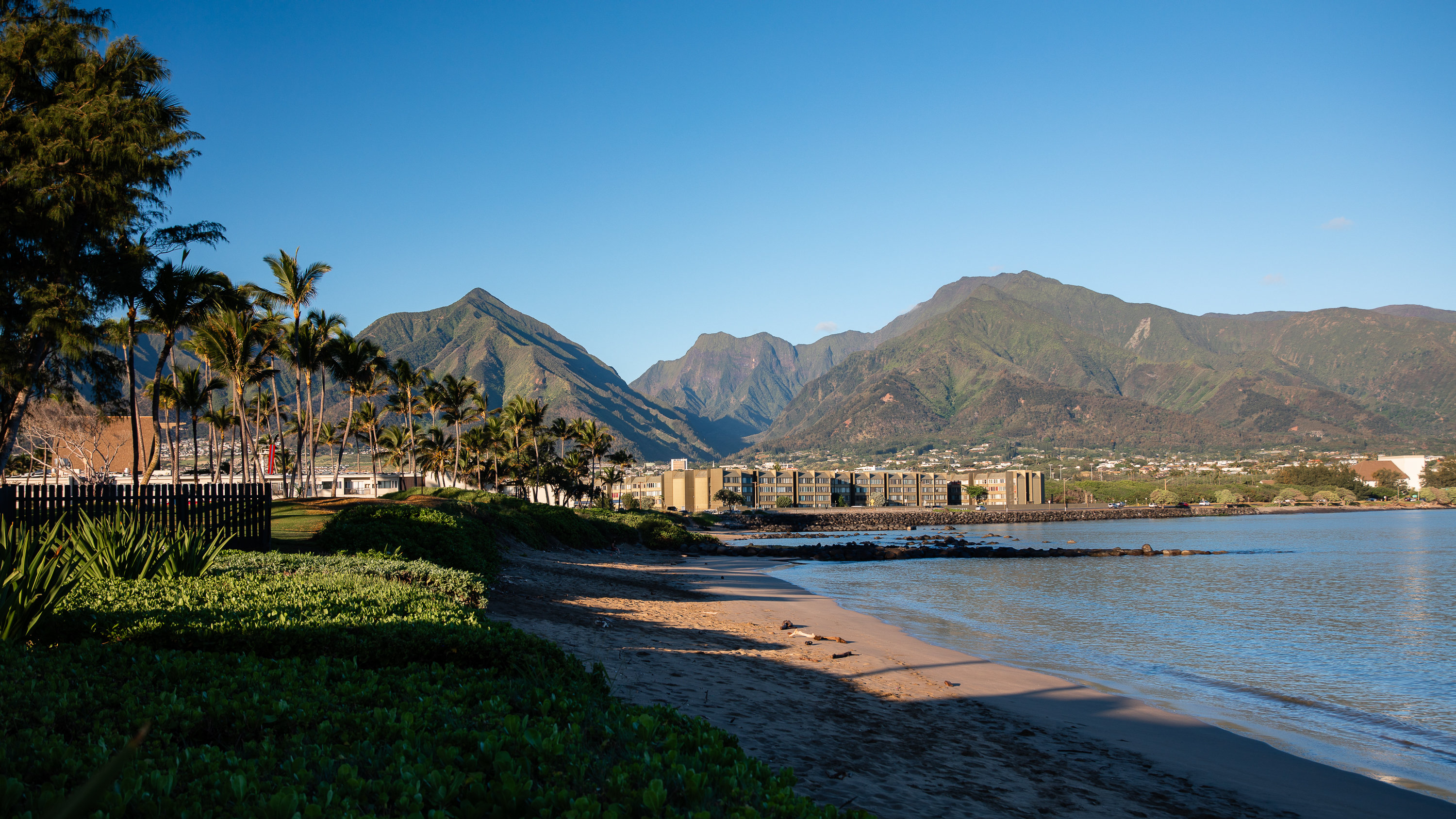 Maui Seaside Hotel by null