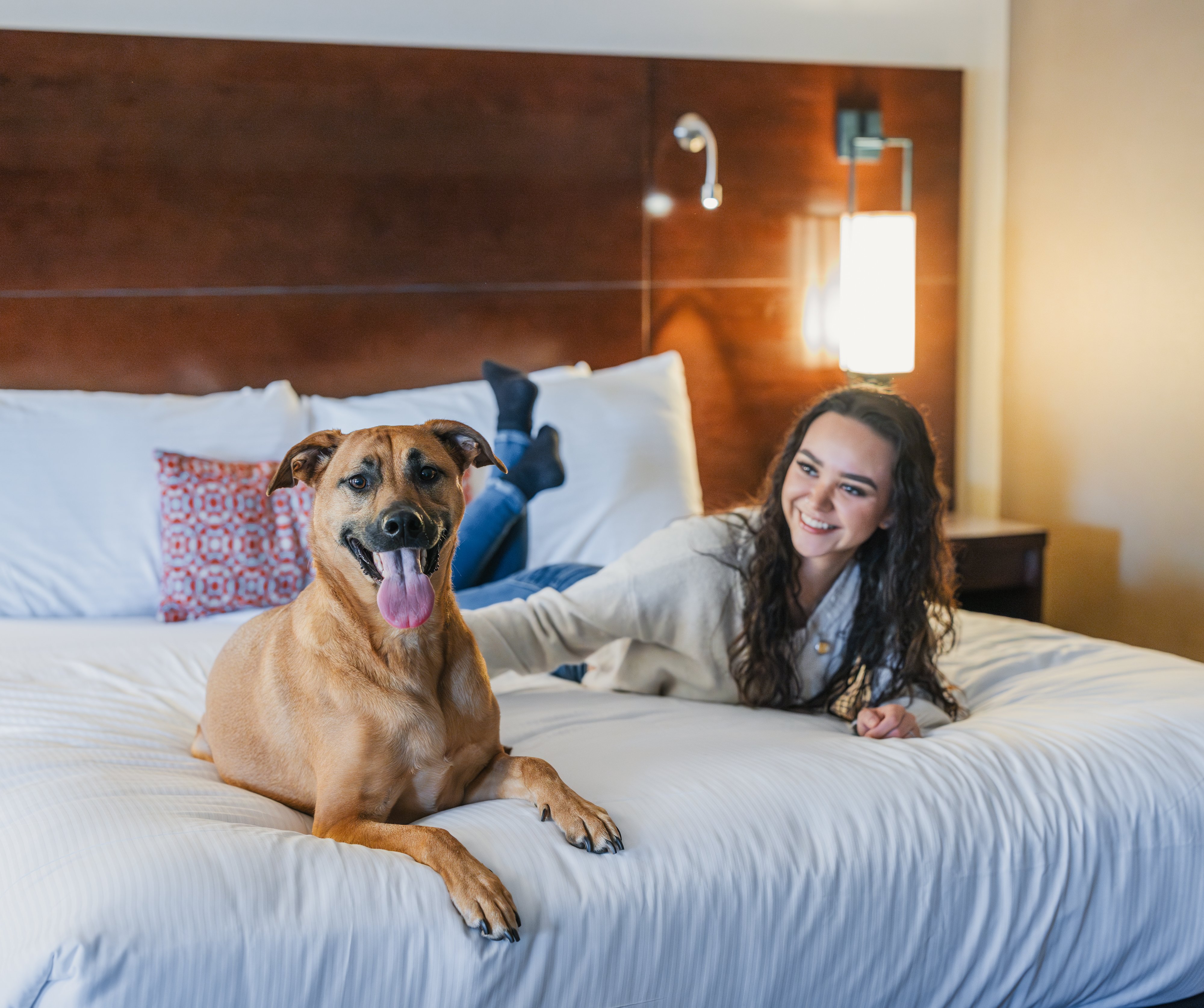 The Lakefront Anchorage by null