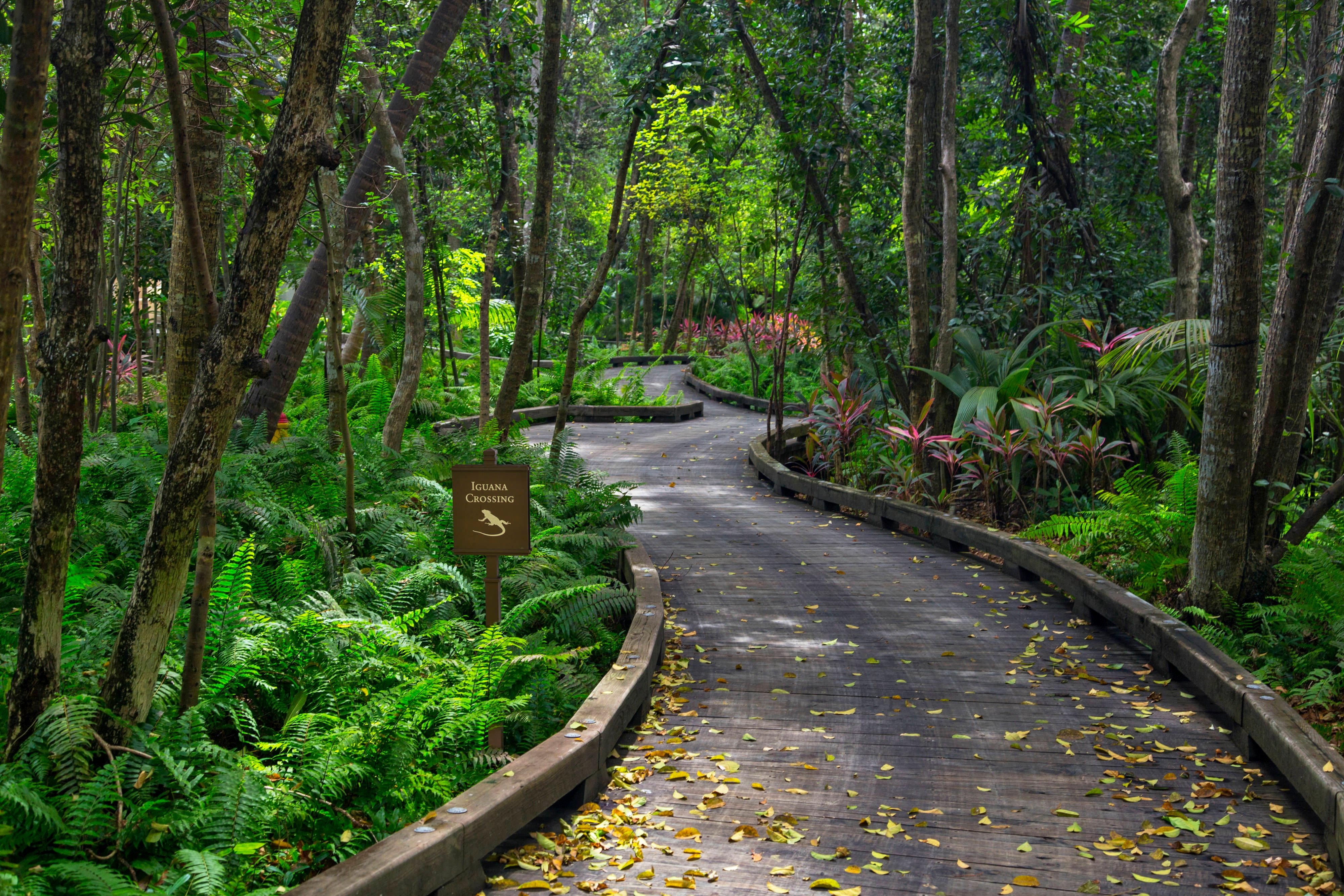 The St. Regis Bahia Beach Resort, Puerto Rico by null