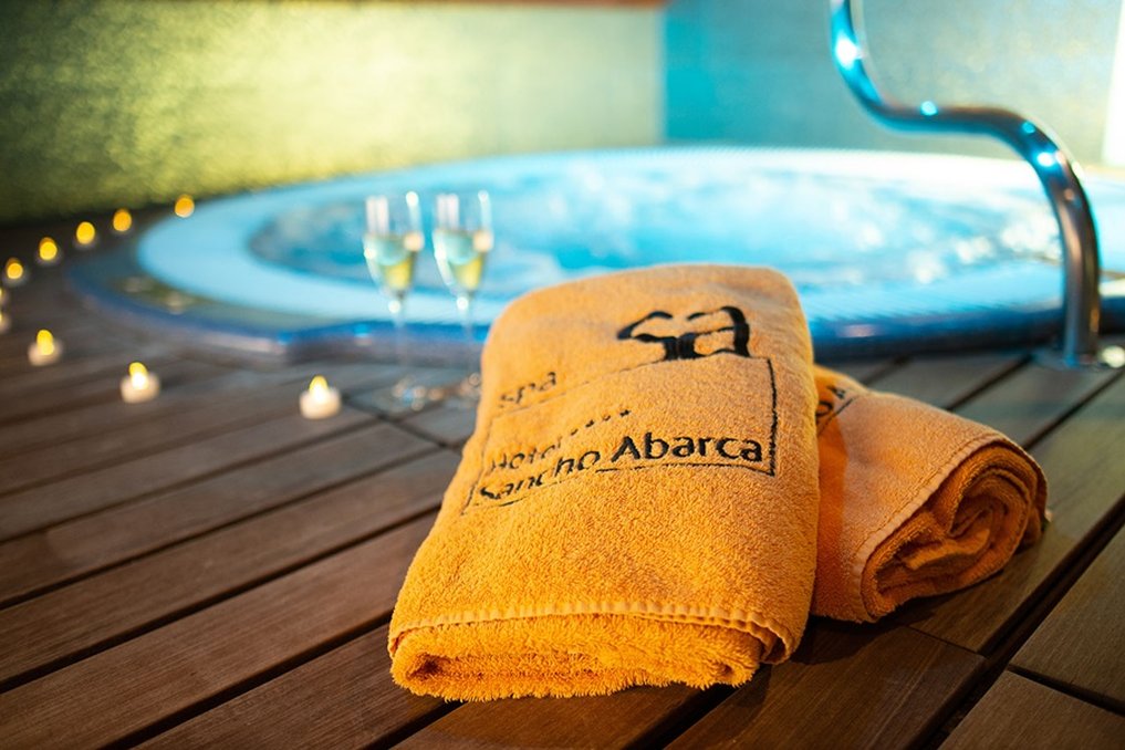 Hotel Sancho Abarca Petit Spa by null