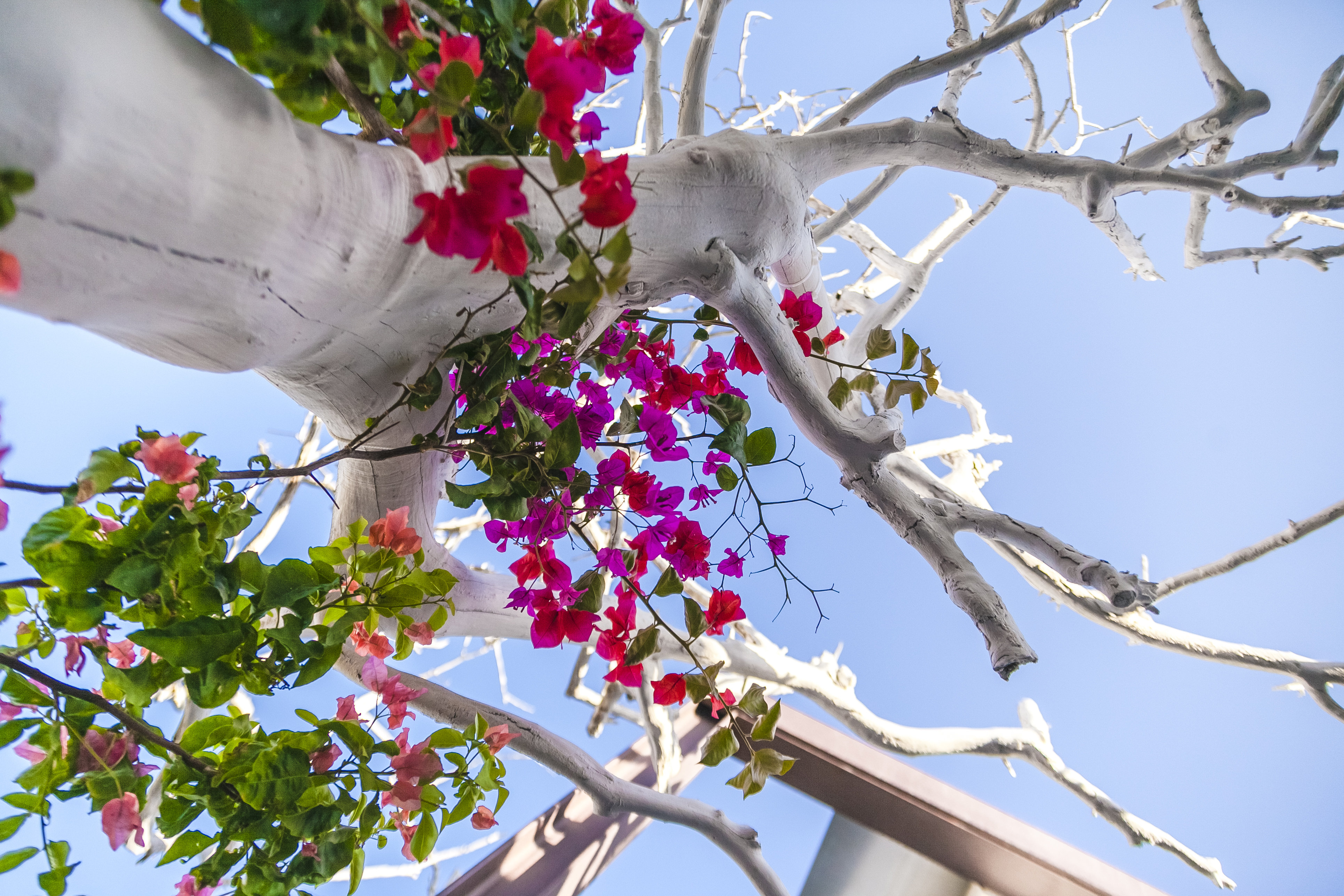 UNAHOTELS One Siracusa by null