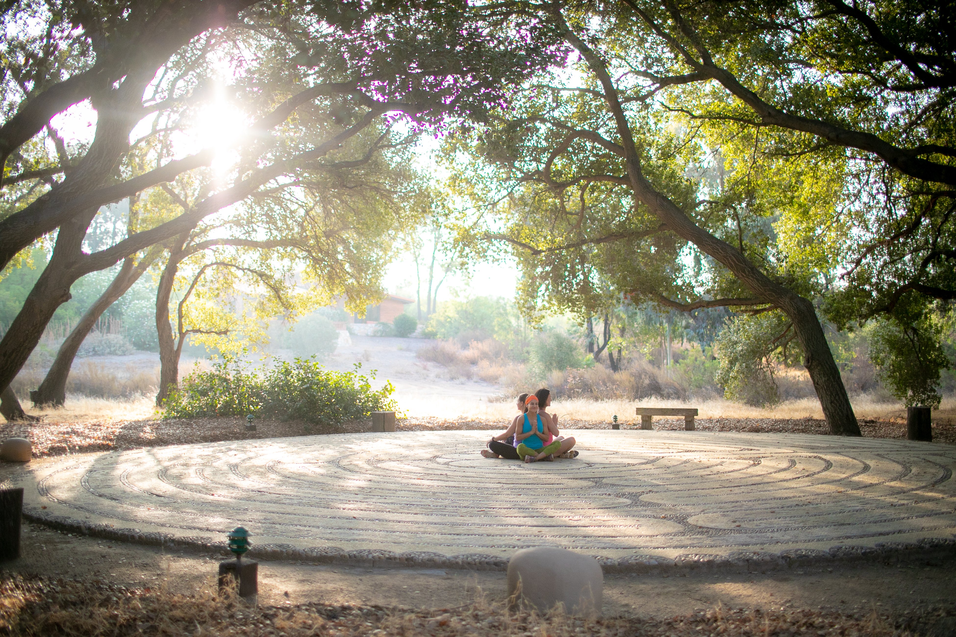 Rancho La Puerta by null