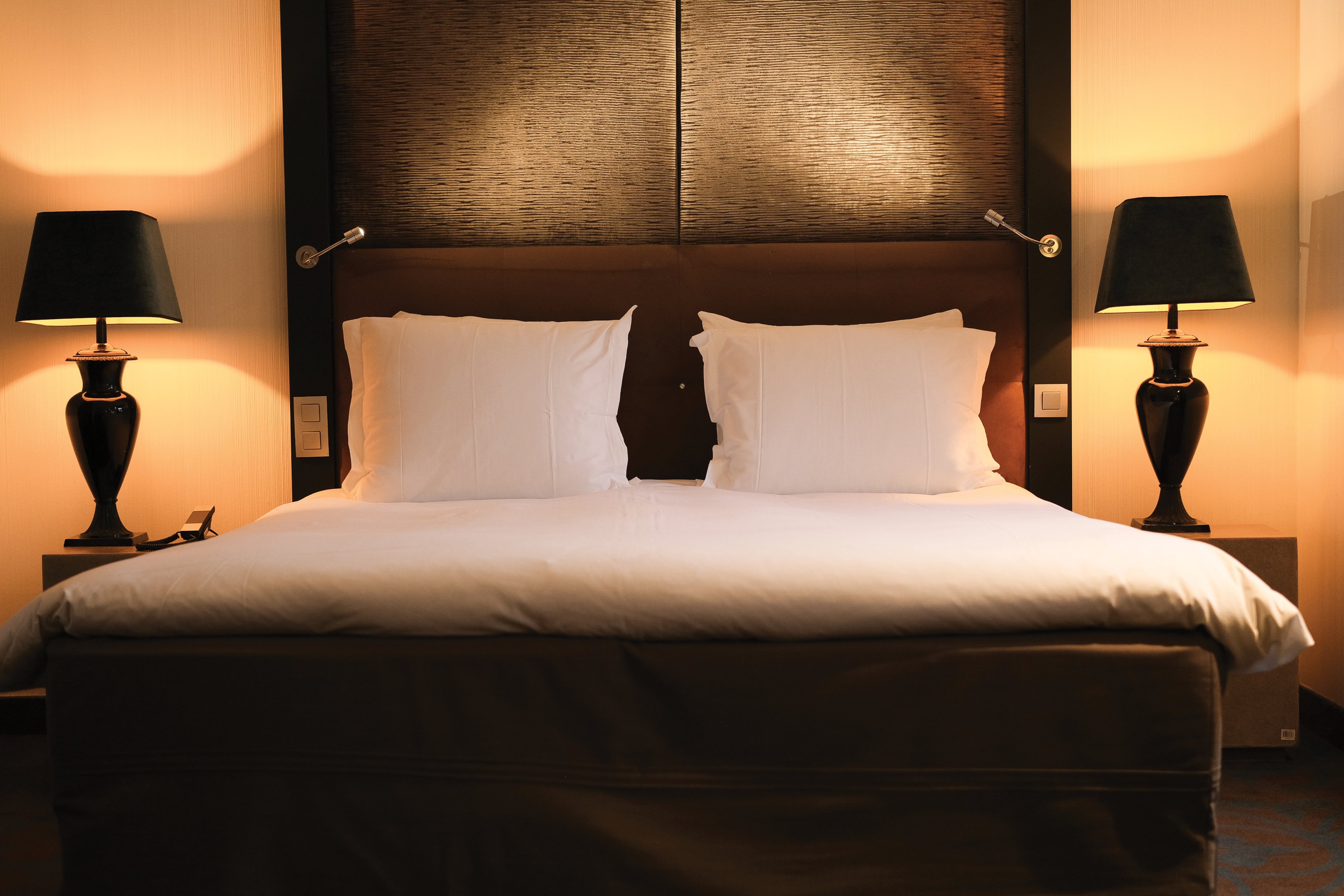 The Dominican by null