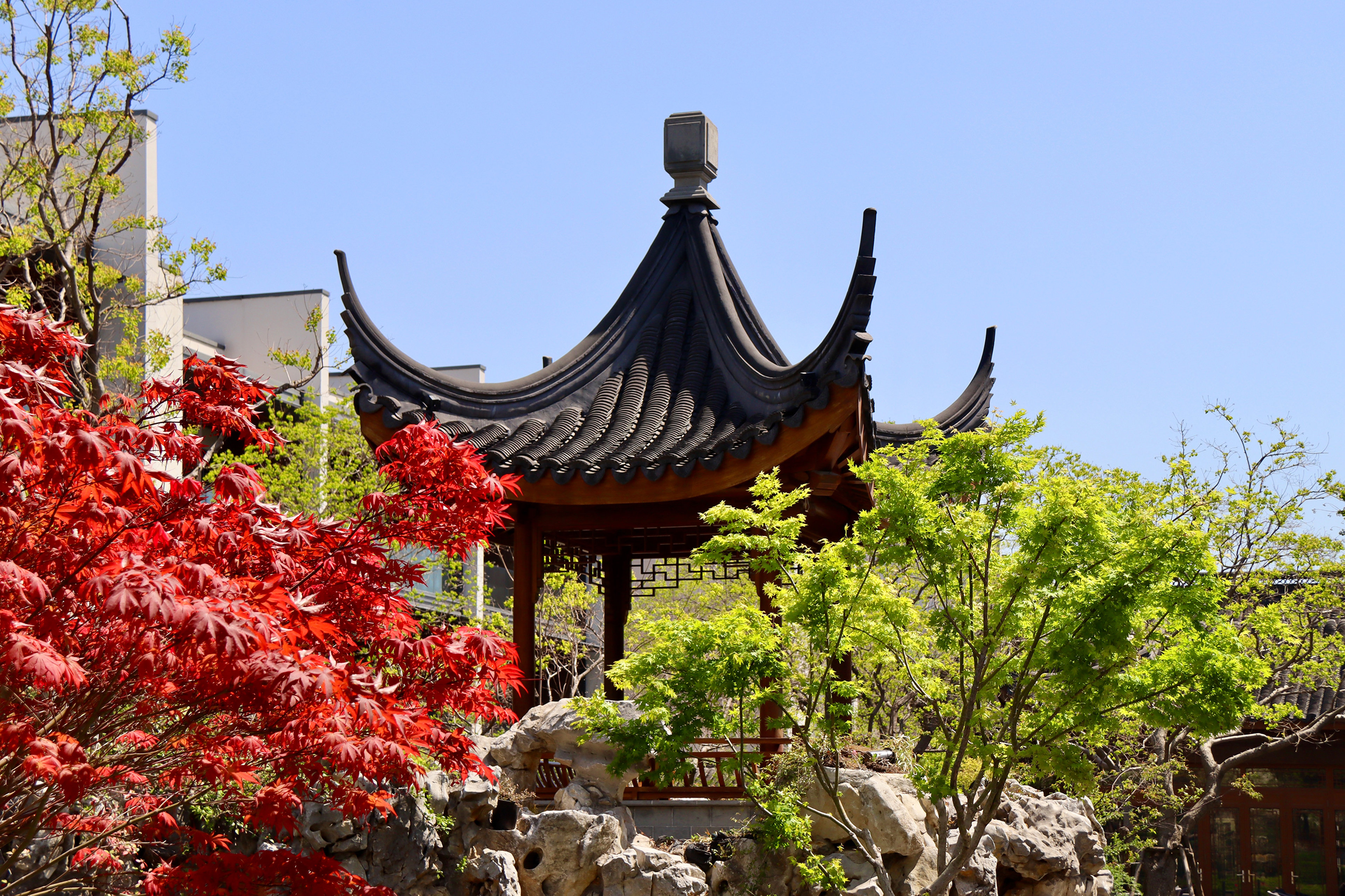 Kimpton Suzhou Bamboo Grove, an IHG Hotel by null