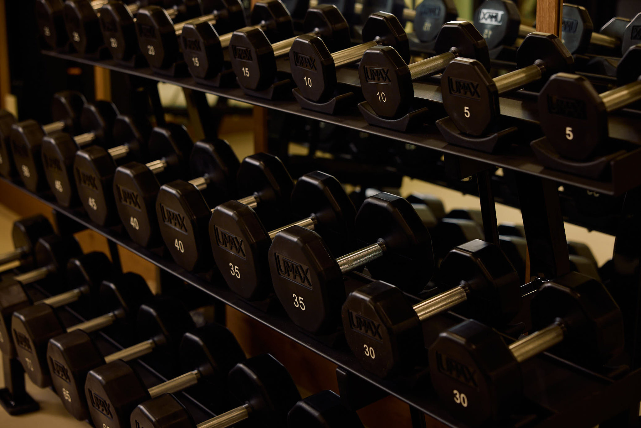 The Shelborne By Proper by null