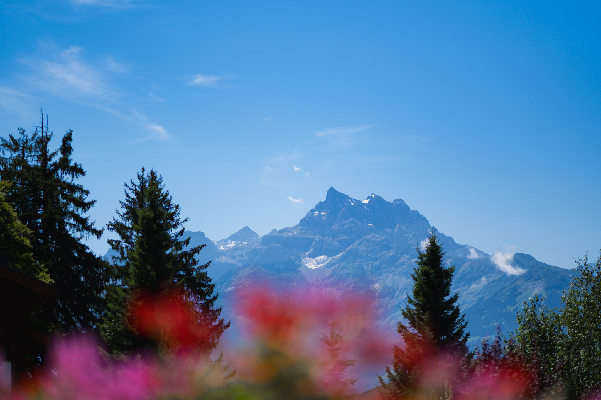 Chalet RoyAlp Hôtel & Spa by null